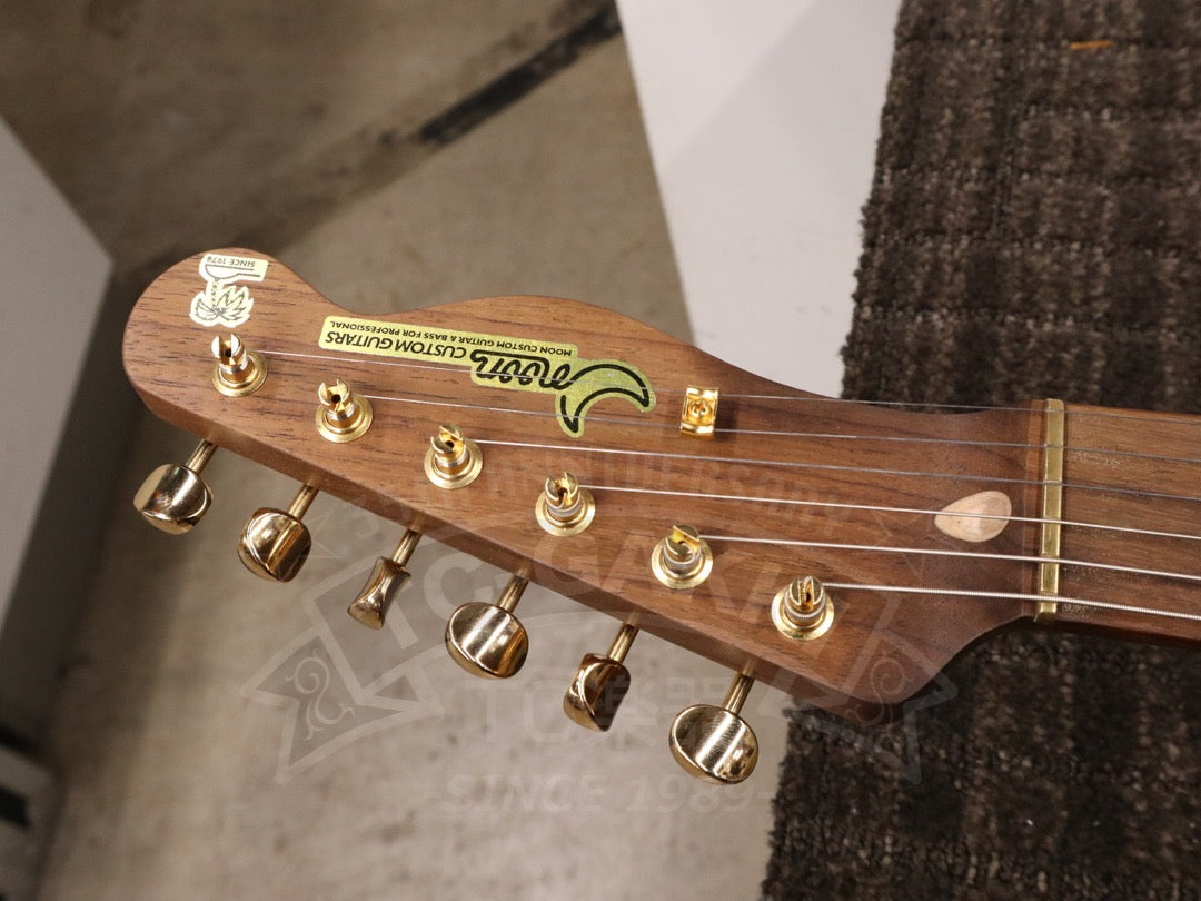 TE-C Rosewood Neck