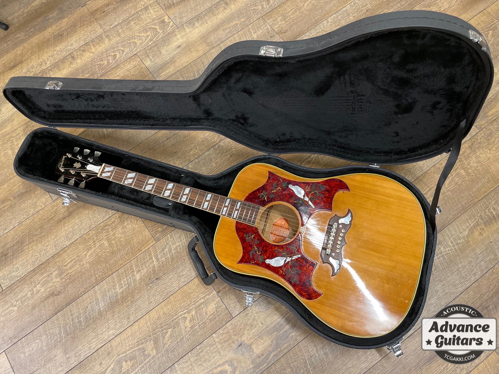 1968 Dove Double Pickguard - TC楽器 - TCGAKKI