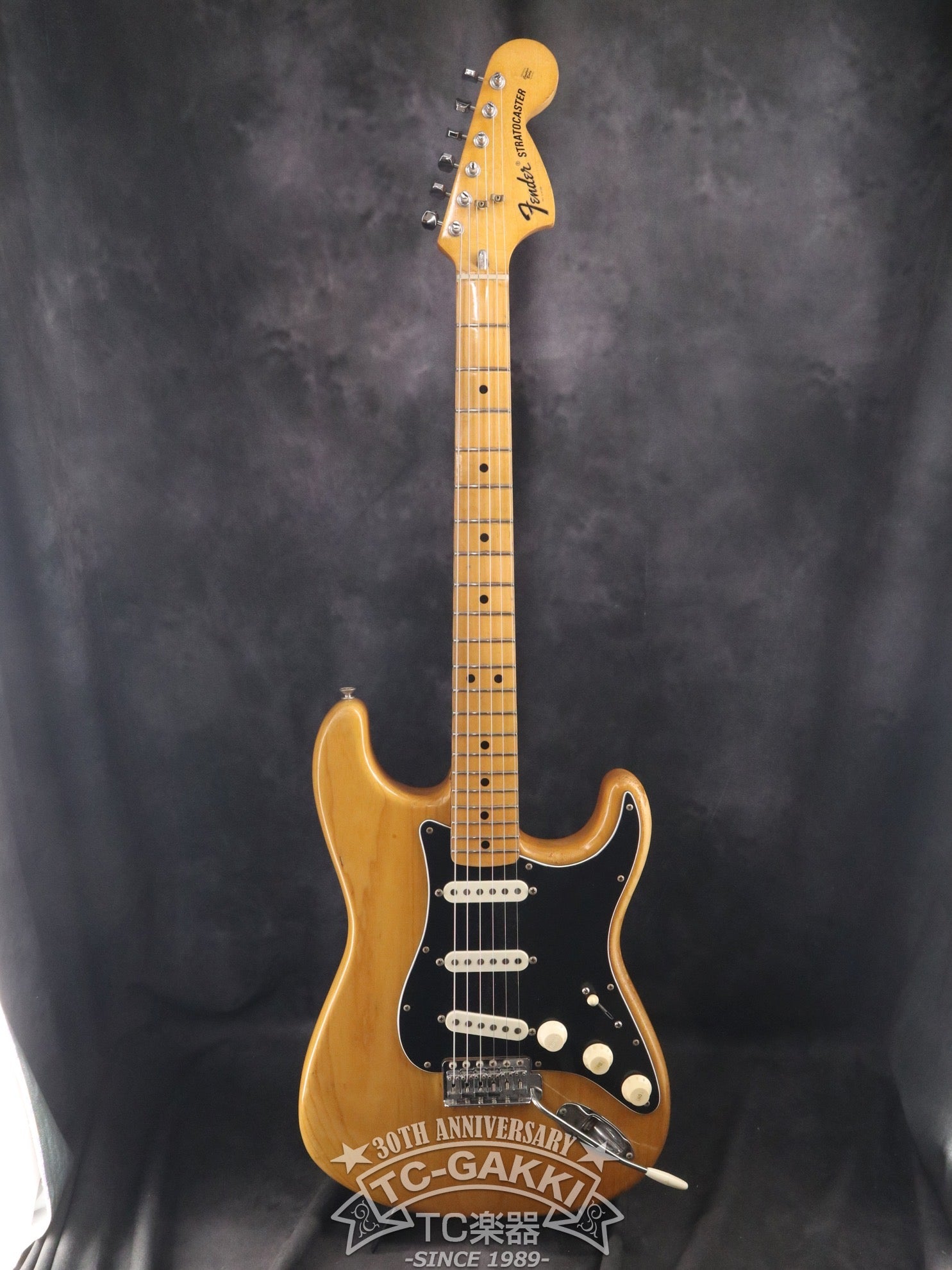 1976 Stratocaster