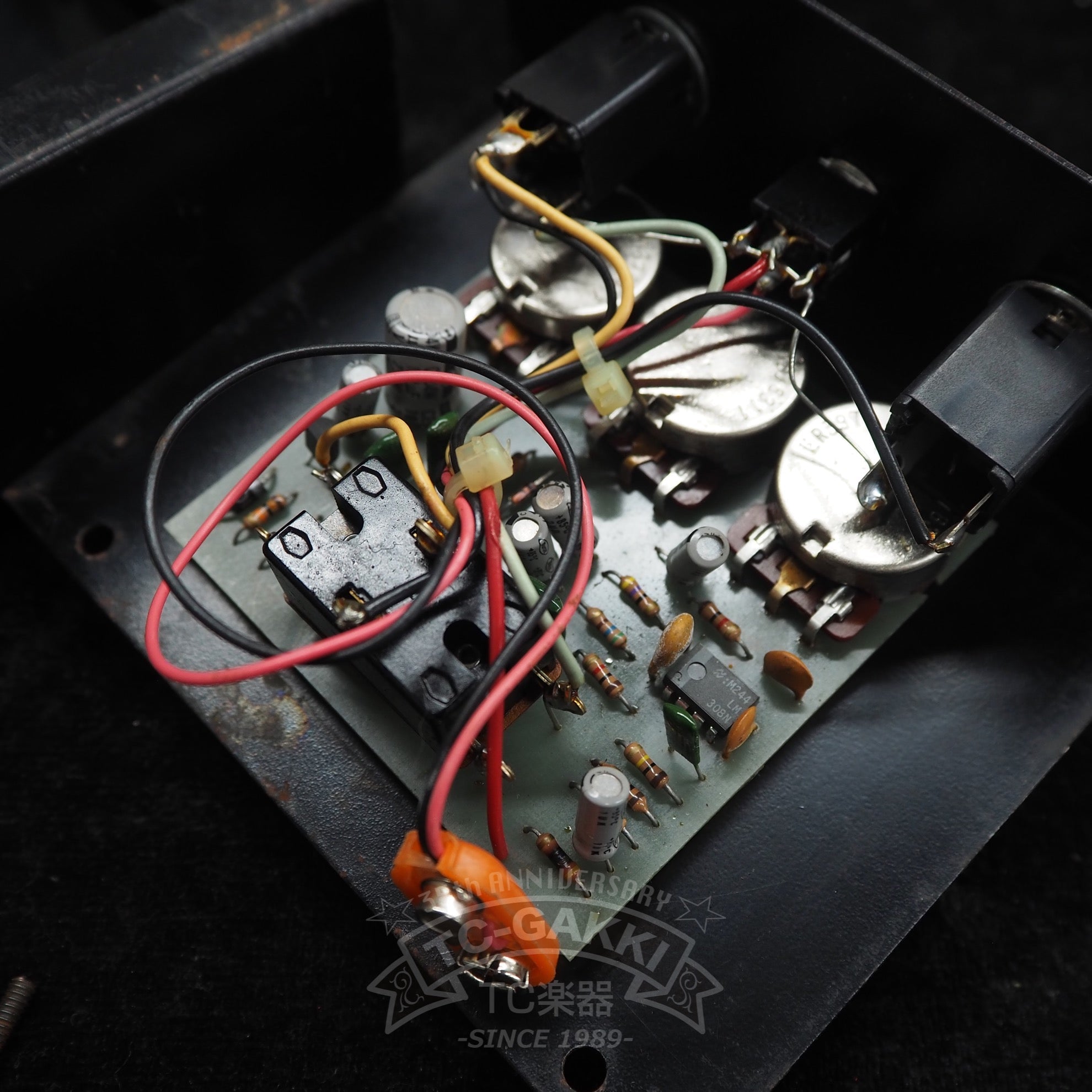 The Rat w/FILTER “Large Case” - TC楽器 - TCGAKKI