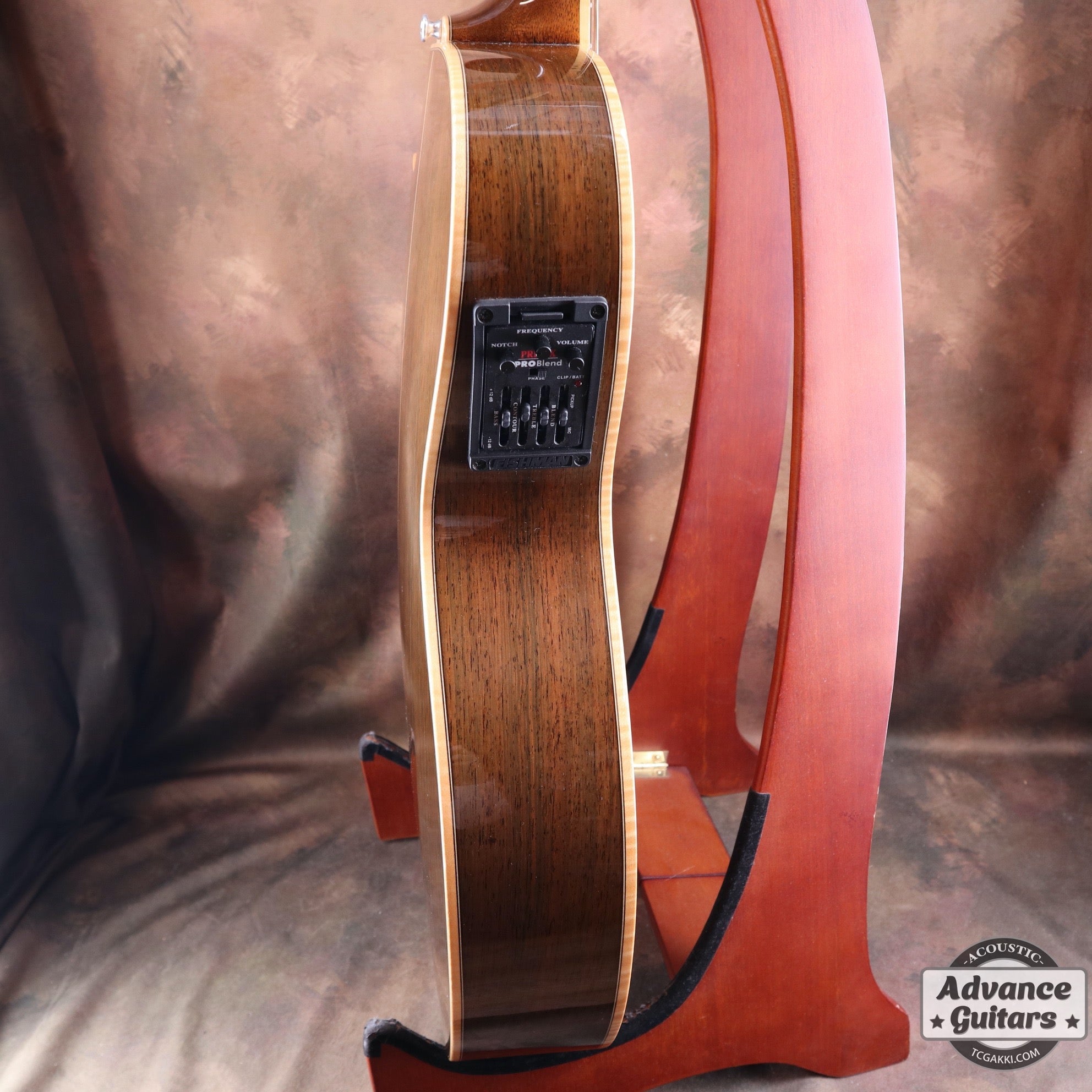 The Sandpiper SP-PRO CE - TC楽器 - TCGAKKI