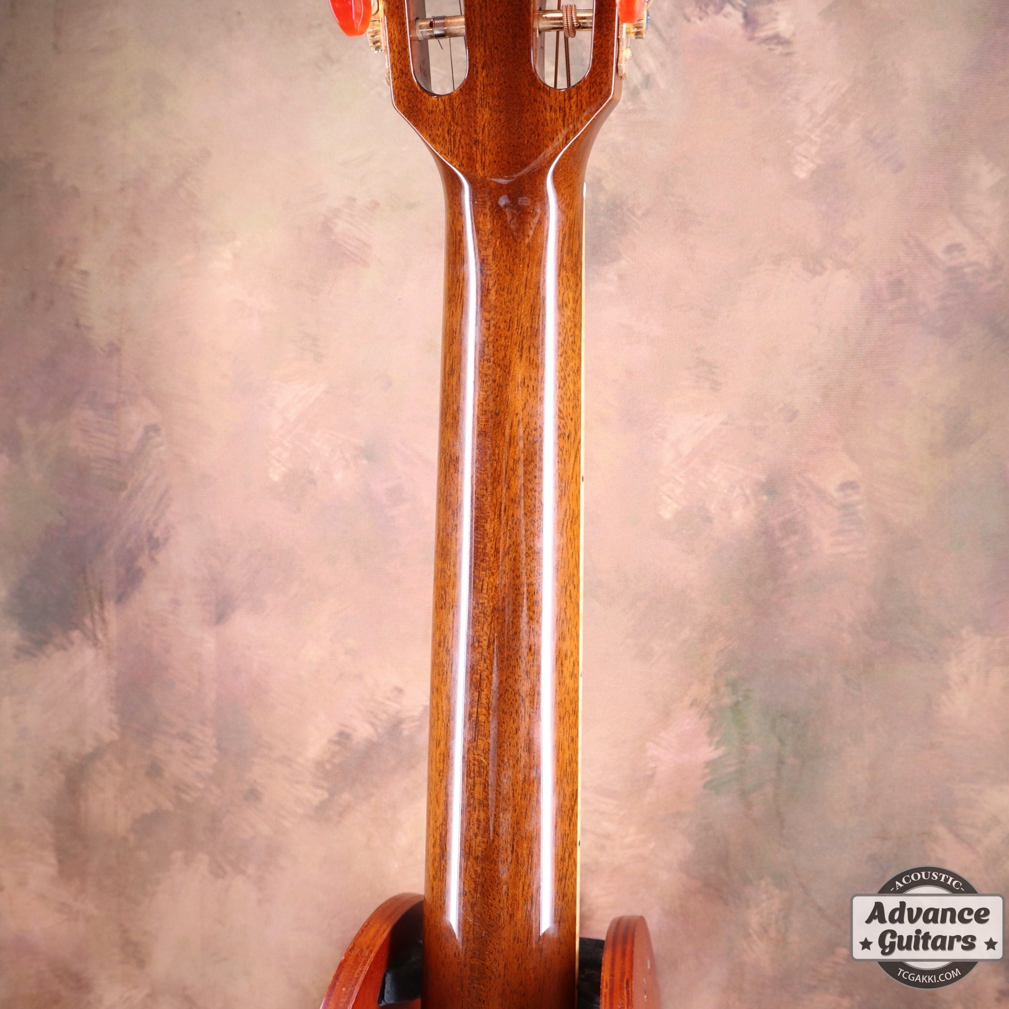 The Sandpiper SP-PRO CE - TC楽器 - TCGAKKI