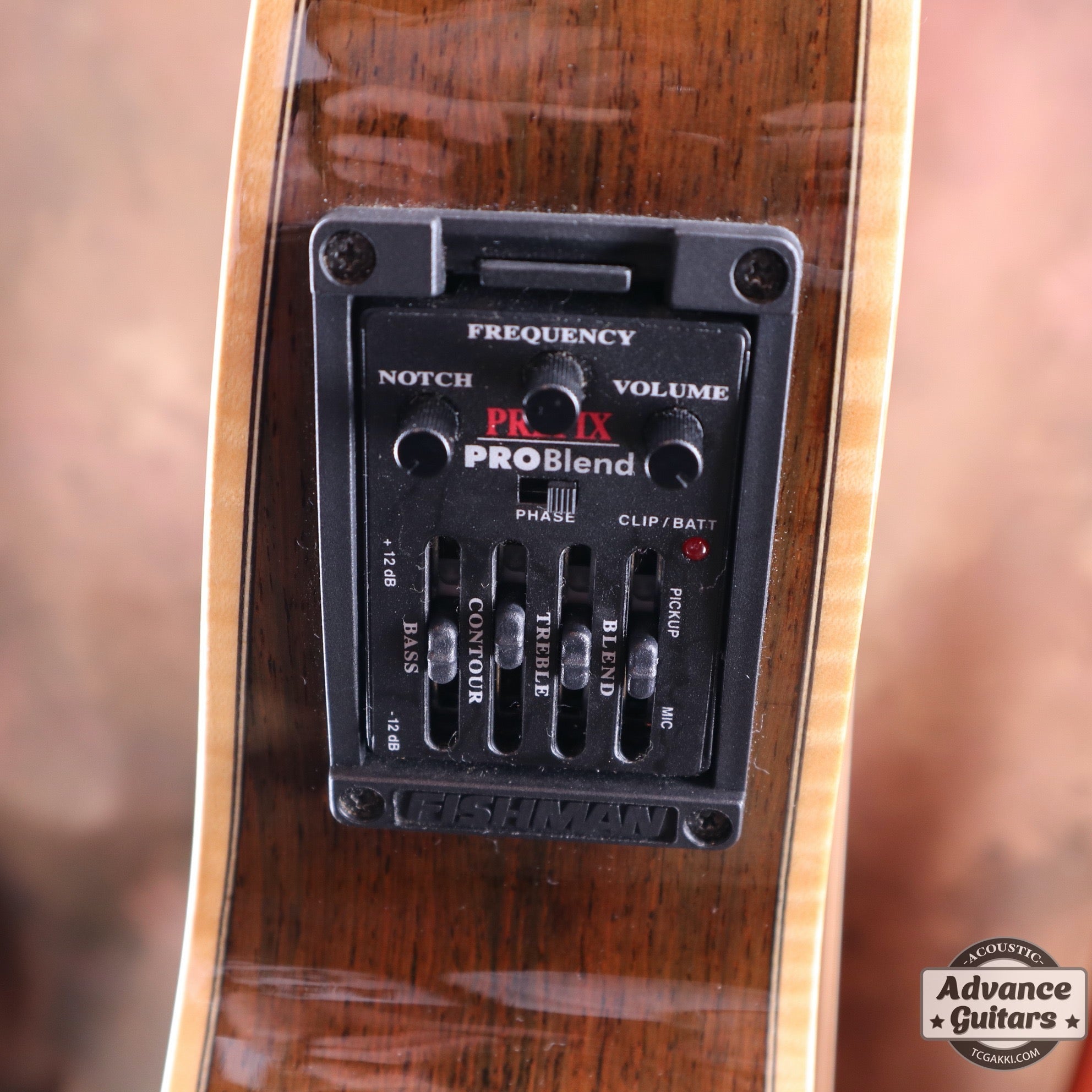 The Sandpiper SP-PRO CE - TC楽器 - TCGAKKI