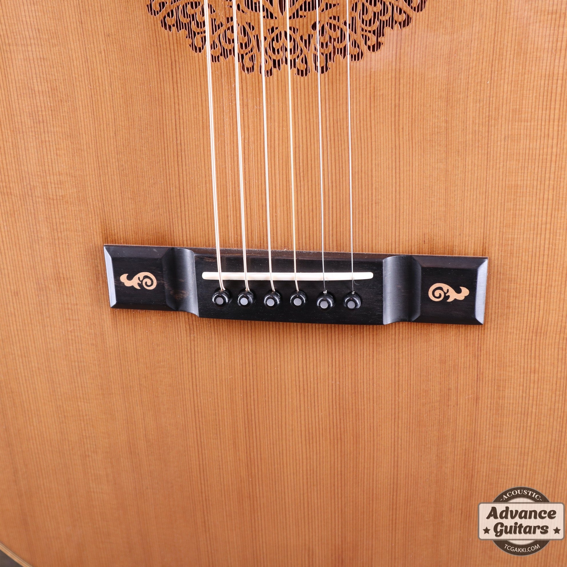 The Sandpiper SP-PRO CE - TC楽器 - TCGAKKI