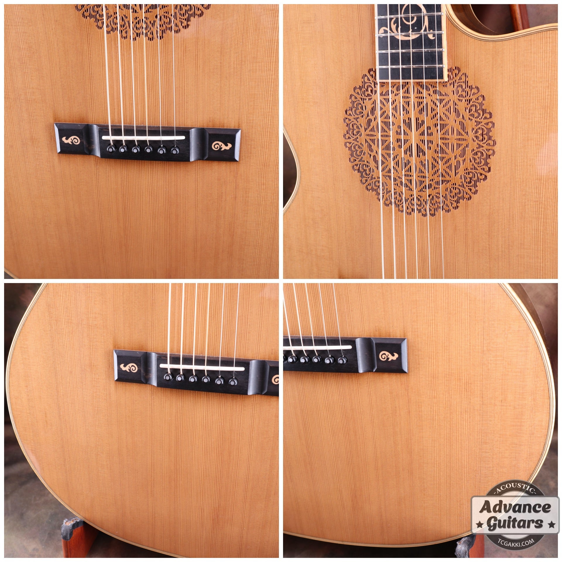 The Sandpiper SP-PRO CE - TC楽器 - TCGAKKI