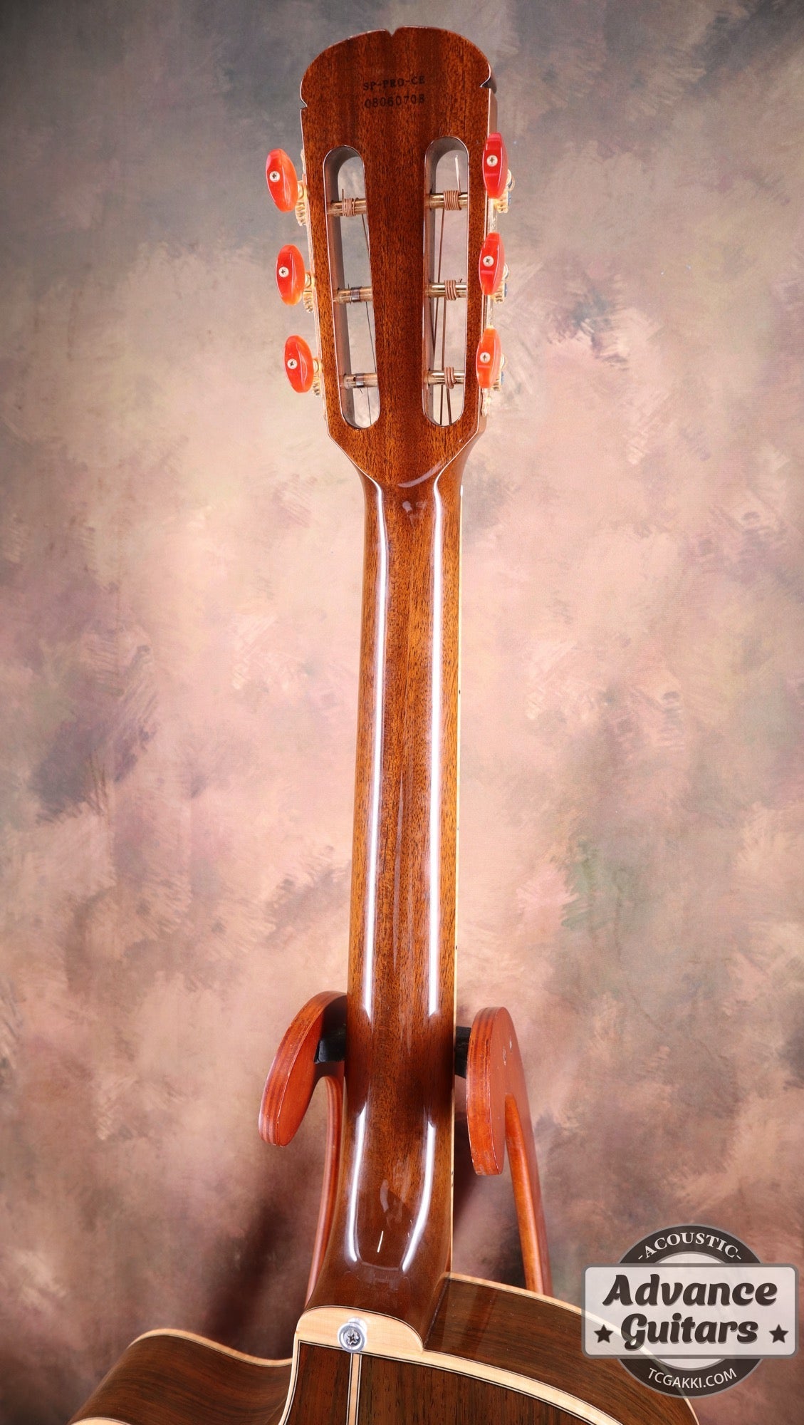 The Sandpiper SP-PRO CE - TC楽器 - TCGAKKI