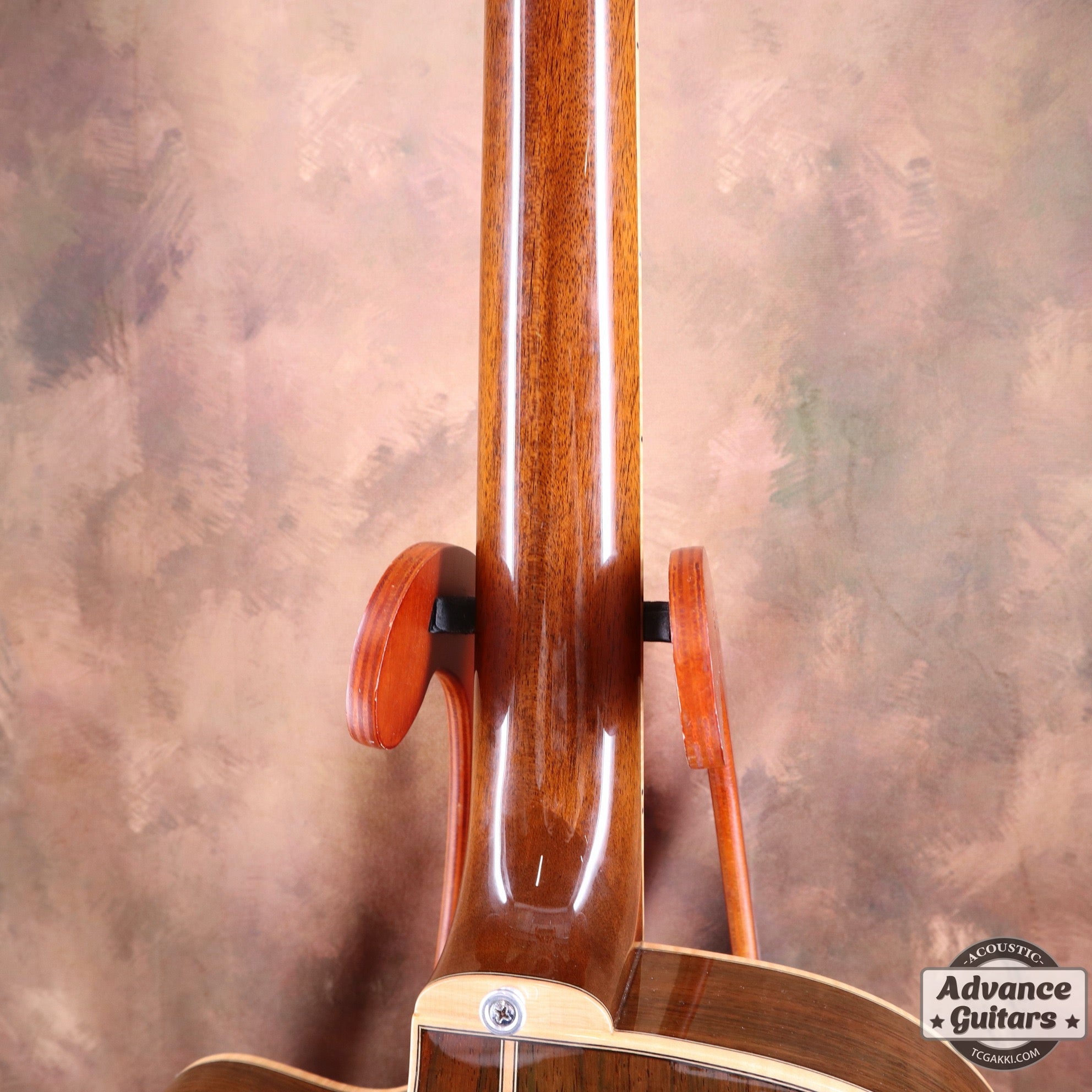 The Sandpiper SP-PRO CE - TC楽器 - TCGAKKI