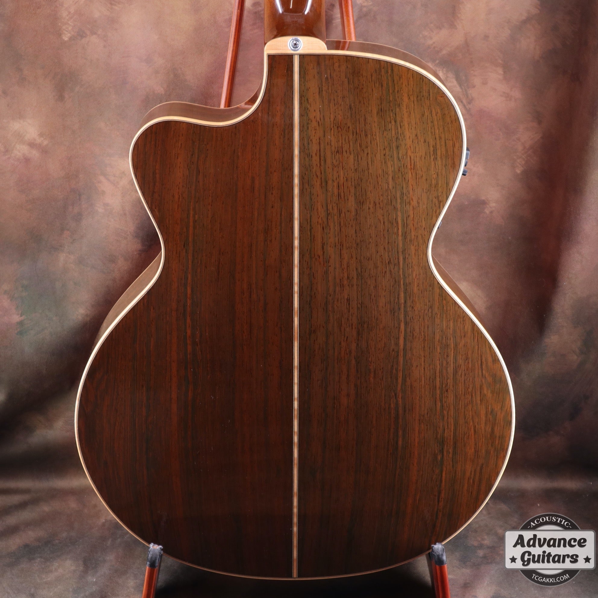 The Sandpiper SP-PRO CE - TC楽器 - TCGAKKI