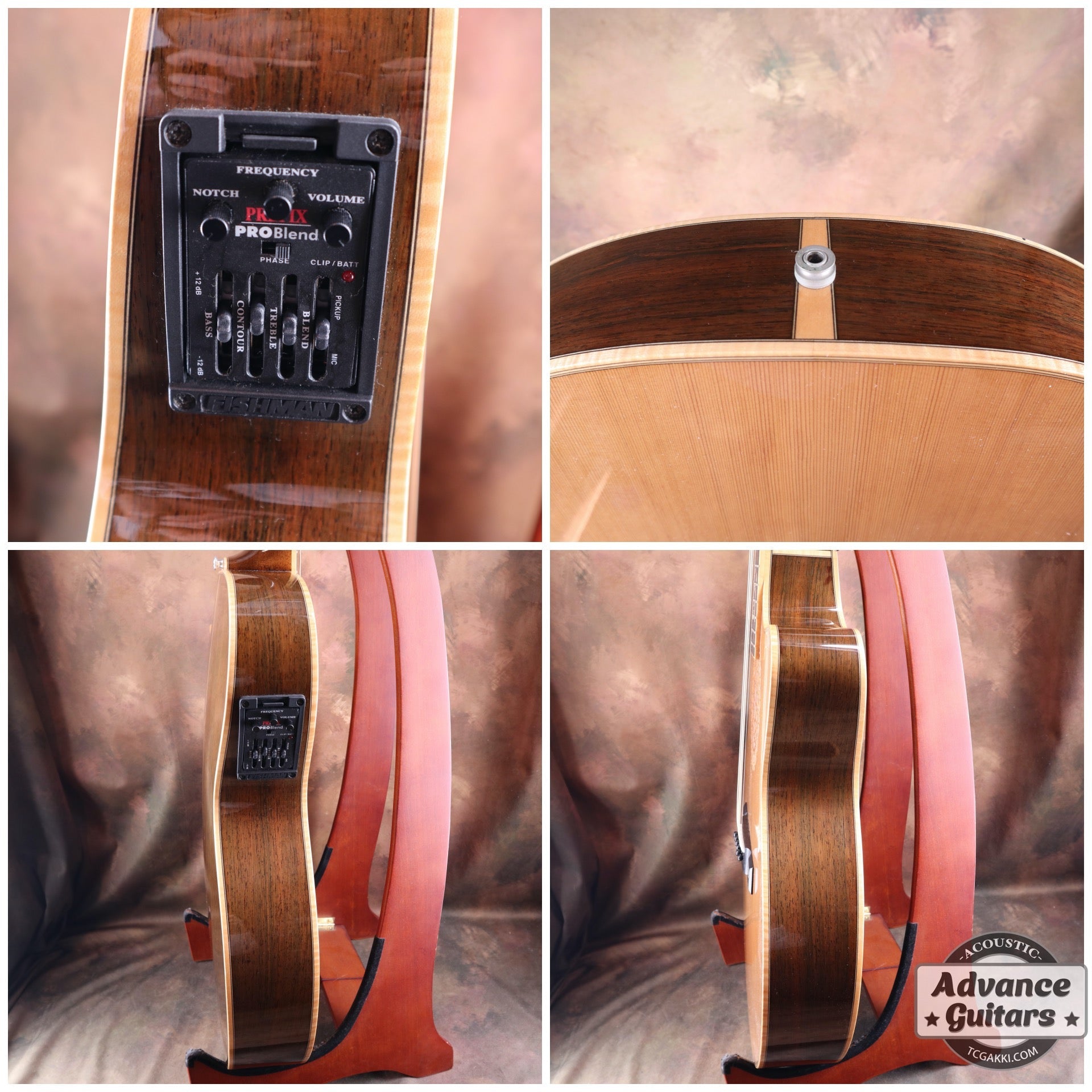 The Sandpiper SP-PRO CE - TC楽器 - TCGAKKI