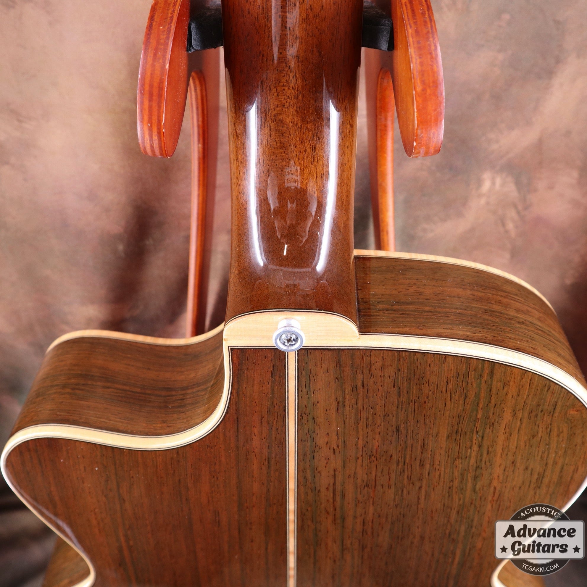 The Sandpiper SP-PRO CE - TC楽器 - TCGAKKI