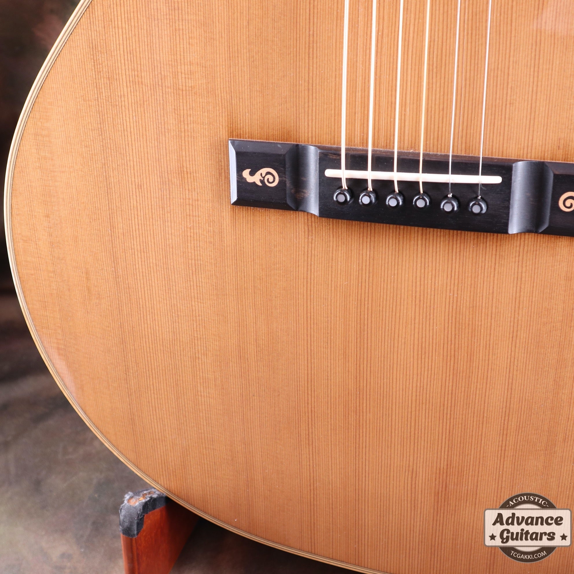 The Sandpiper SP-PRO CE - TC楽器 - TCGAKKI