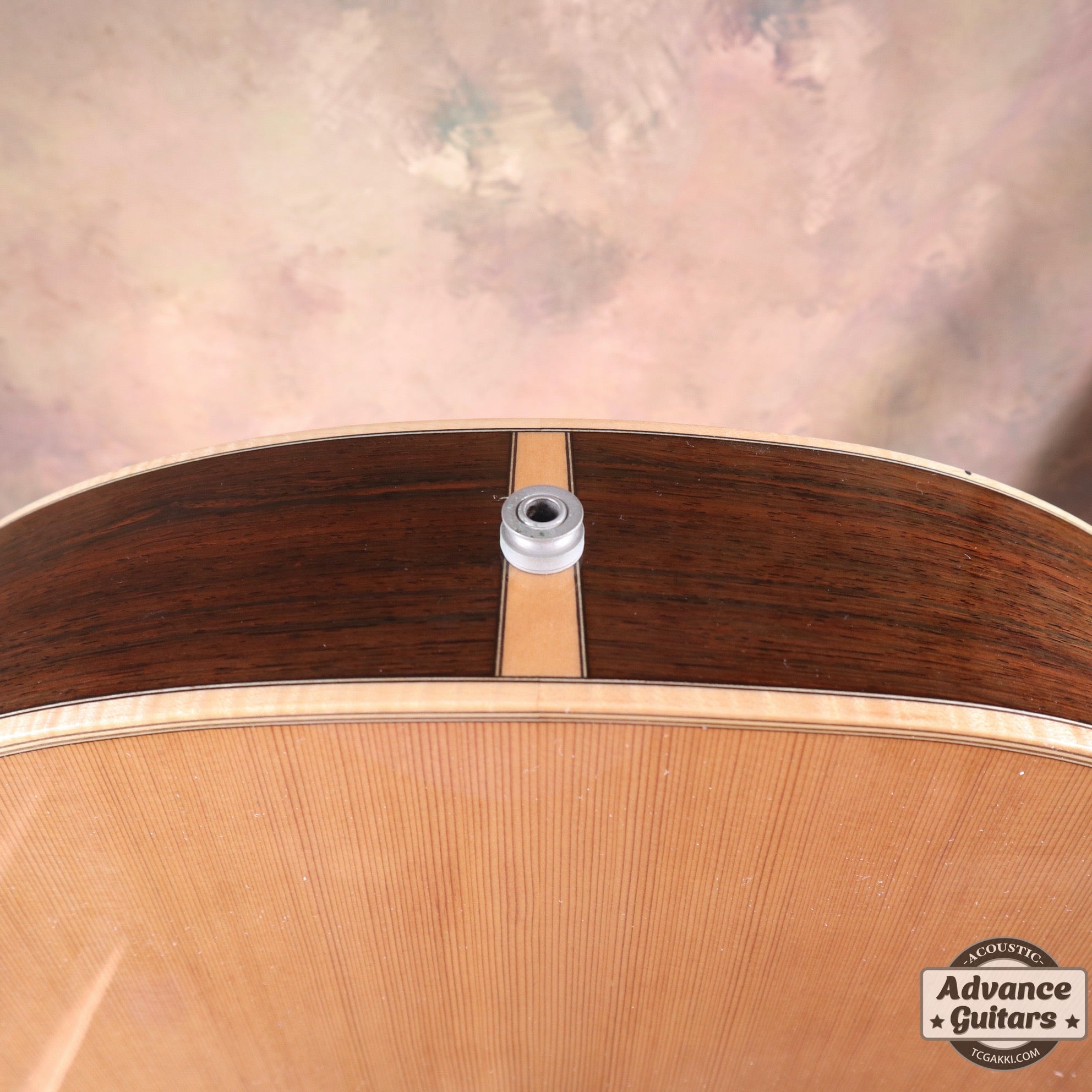 The Sandpiper SP-PRO CE - TC楽器 - TCGAKKI