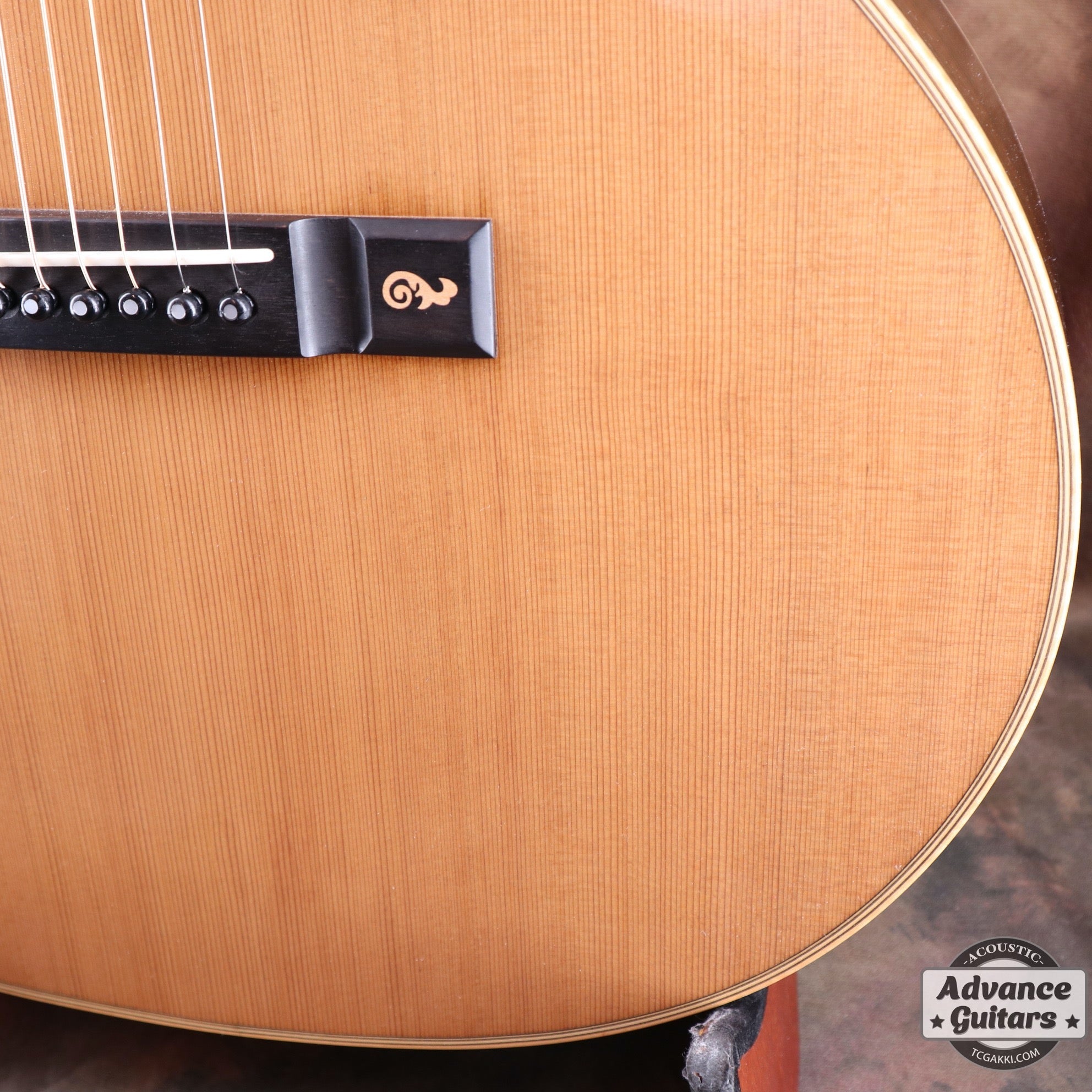The Sandpiper SP-PRO CE - TC楽器 - TCGAKKI
