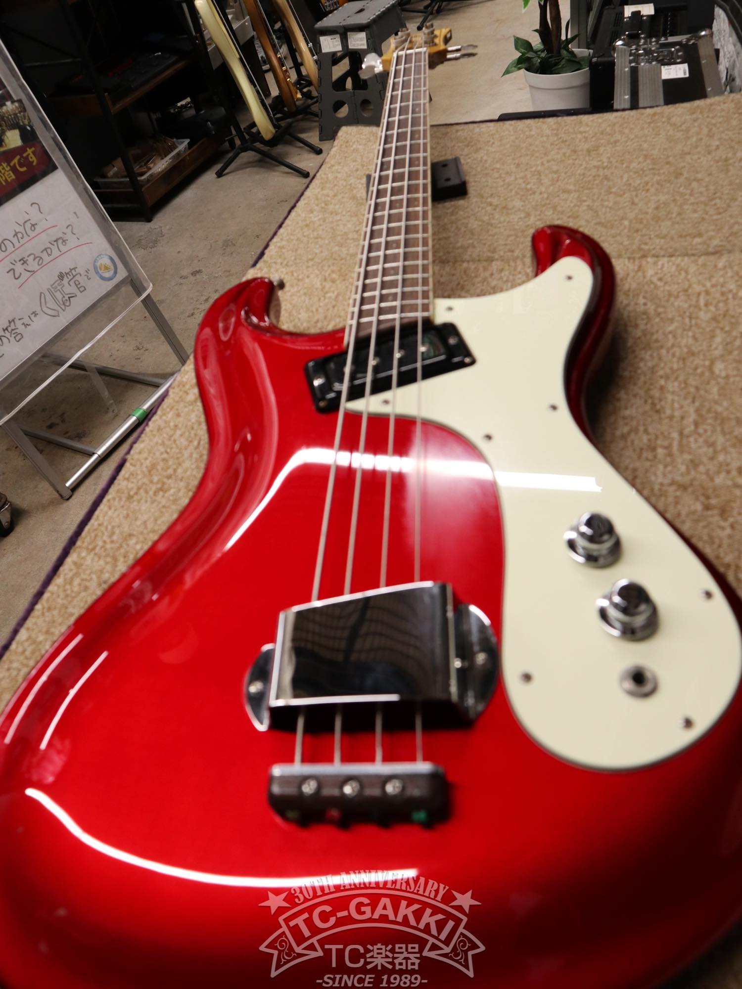 The Ventures Model 1PU - TC楽器 - TCGAKKI