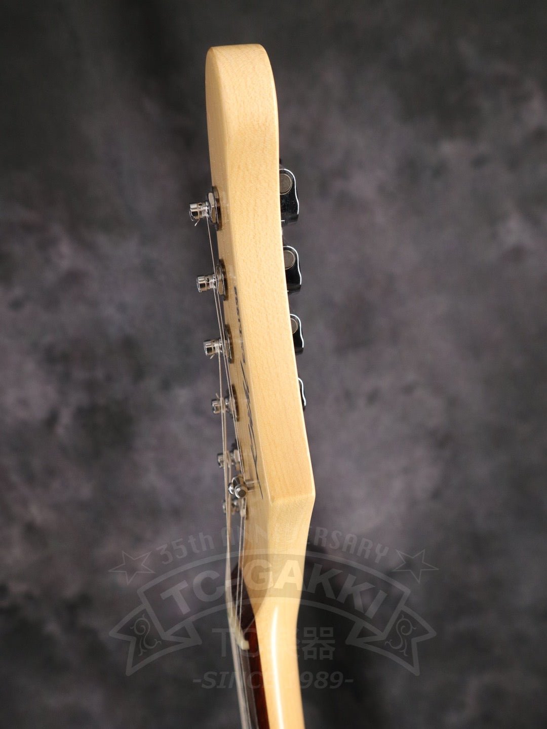 TL Thinline Type - TC楽器 - TCGAKKI