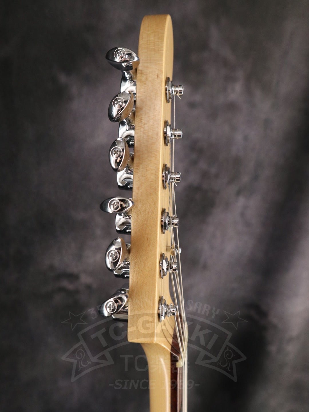 TL Thinline Type - TC楽器 - TCGAKKI
