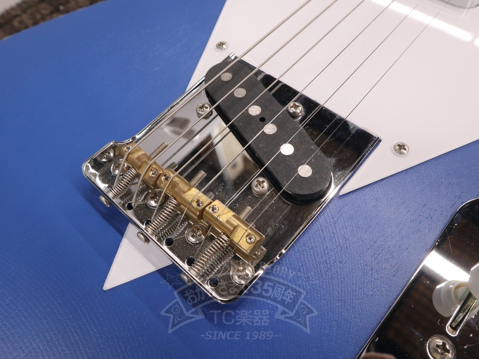 V3 Curacao Blue - TC楽器 - TCGAKKI