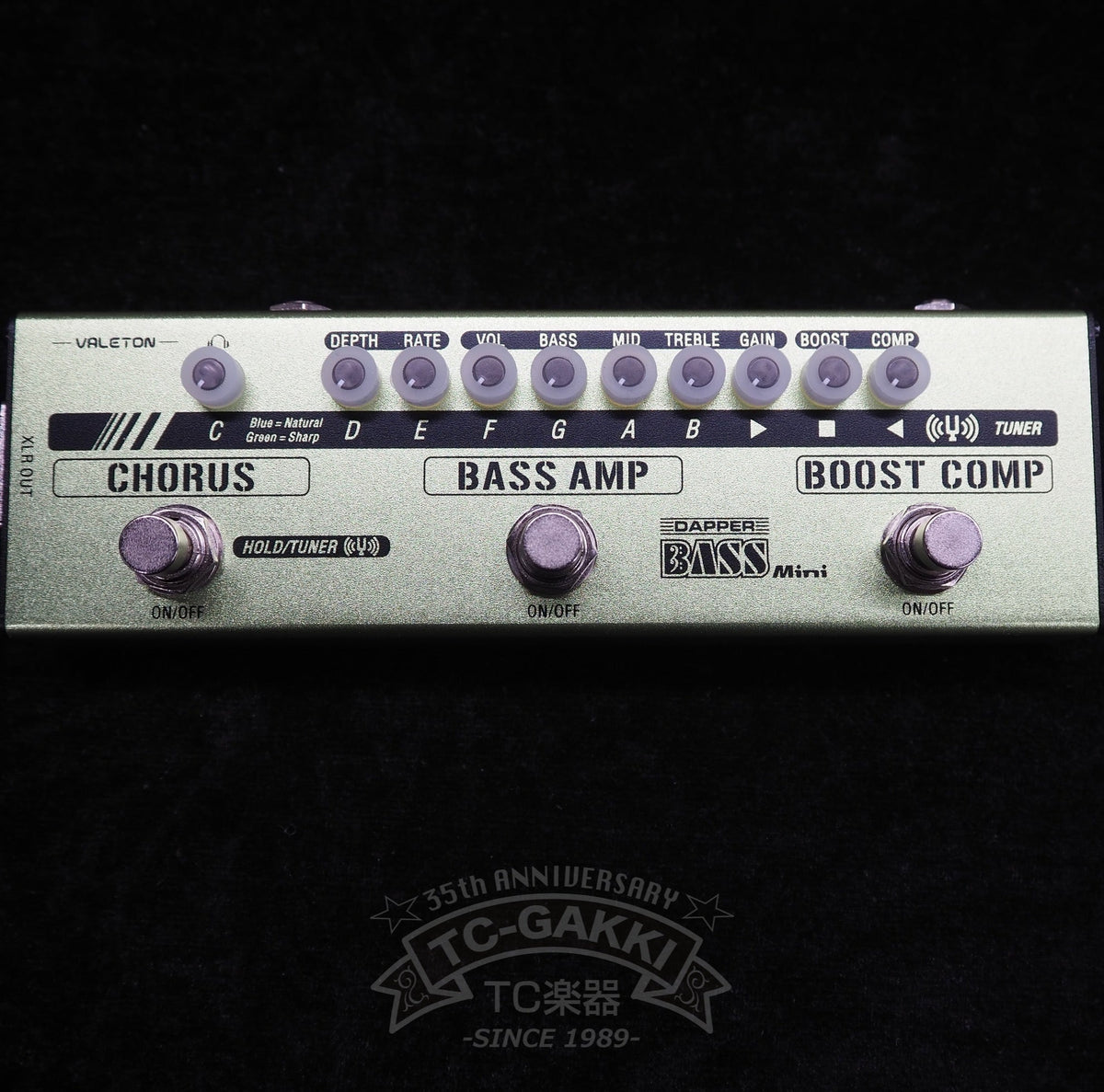 VALETON DAPPER BASS Mini - TC楽器 - TCGAKKI