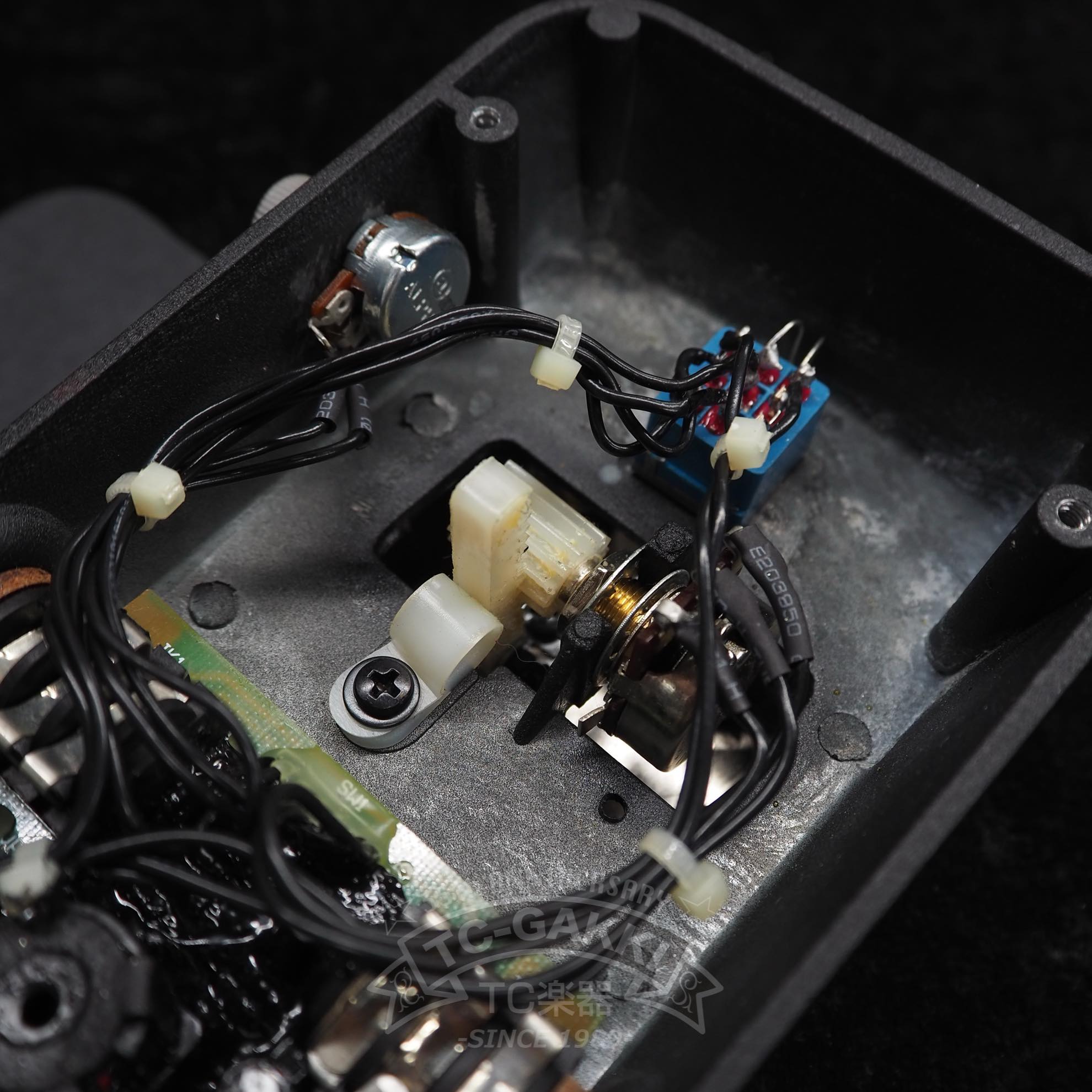 VERTEX Axis Wah - TC楽器 - TCGAKKI