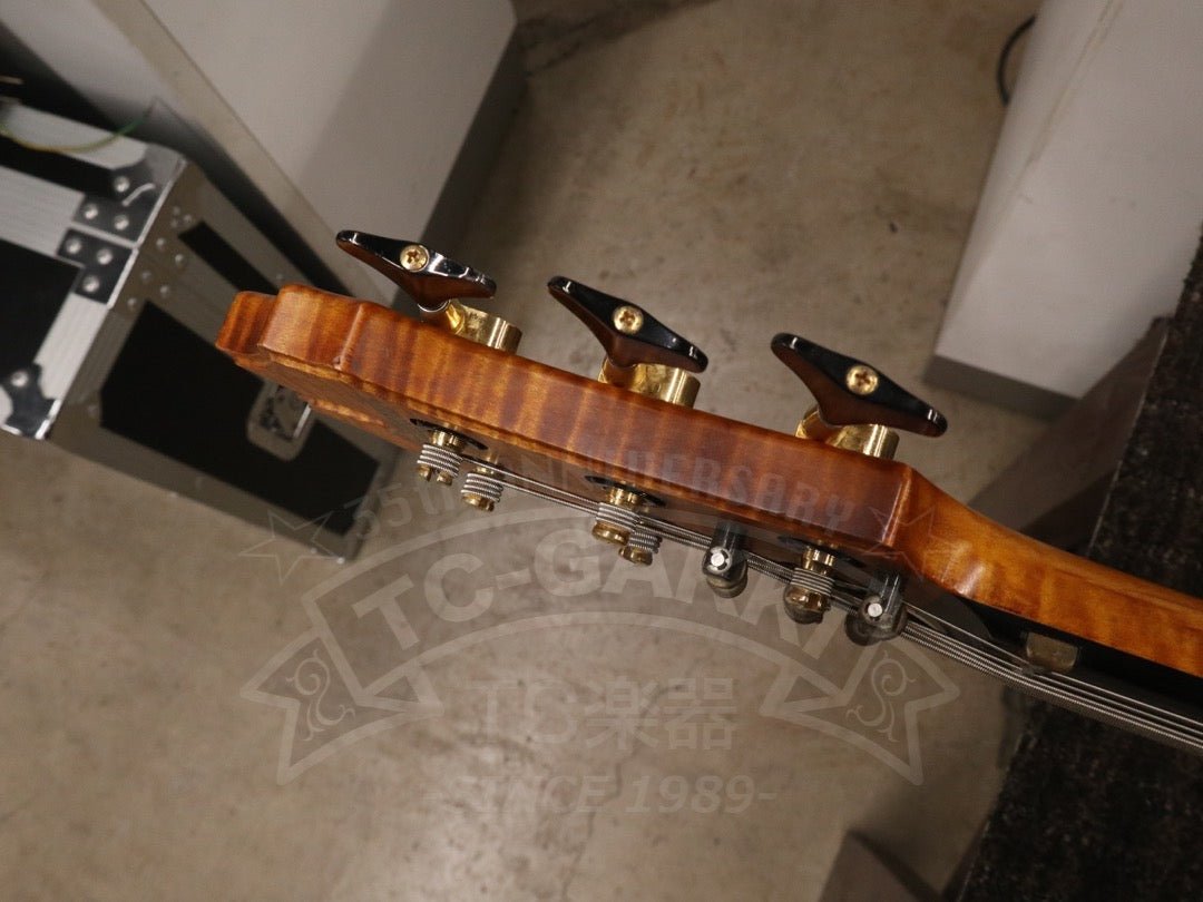 Victoria 6st - TC楽器 - TCGAKKI