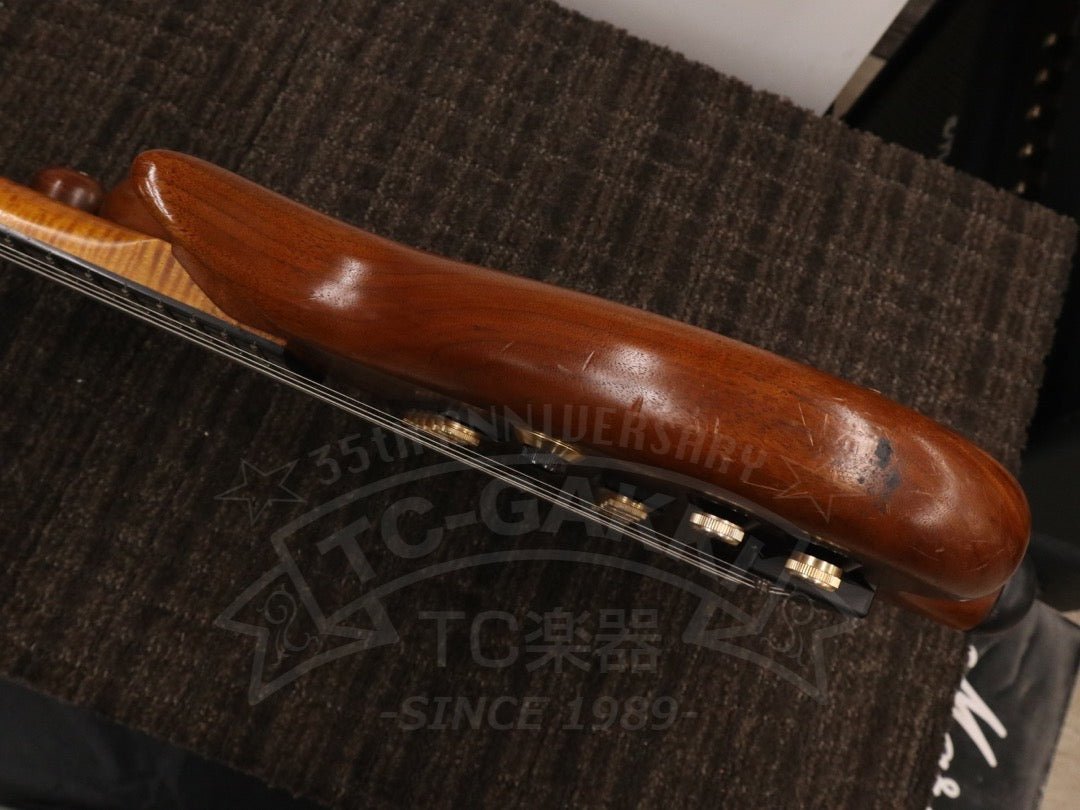 Victoria 6st - TC楽器 - TCGAKKI