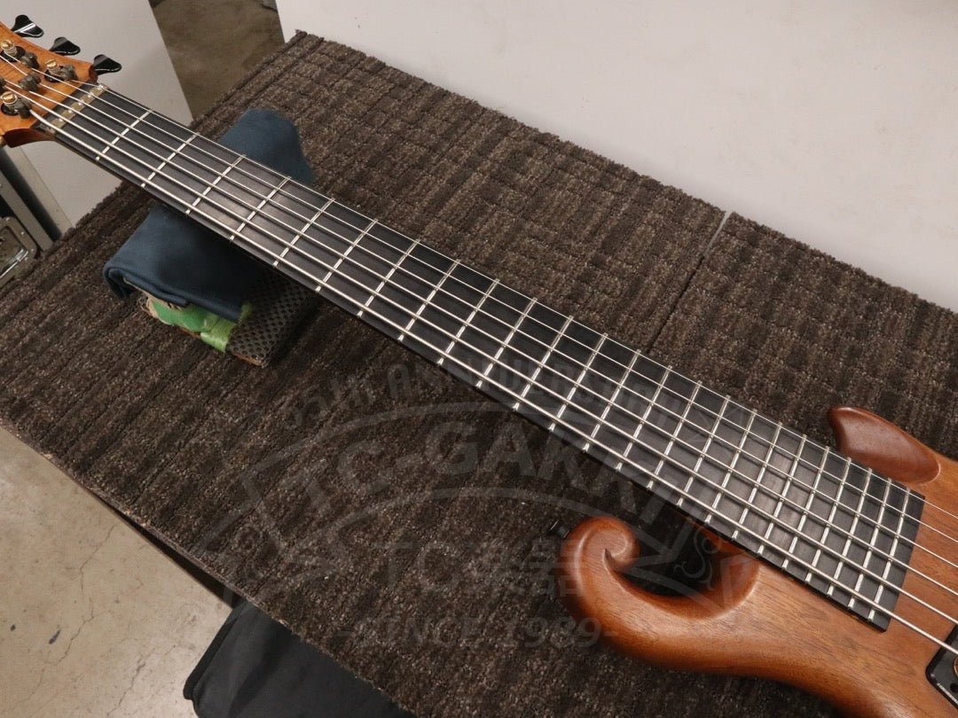 Victoria 6st - TC楽器 - TCGAKKI