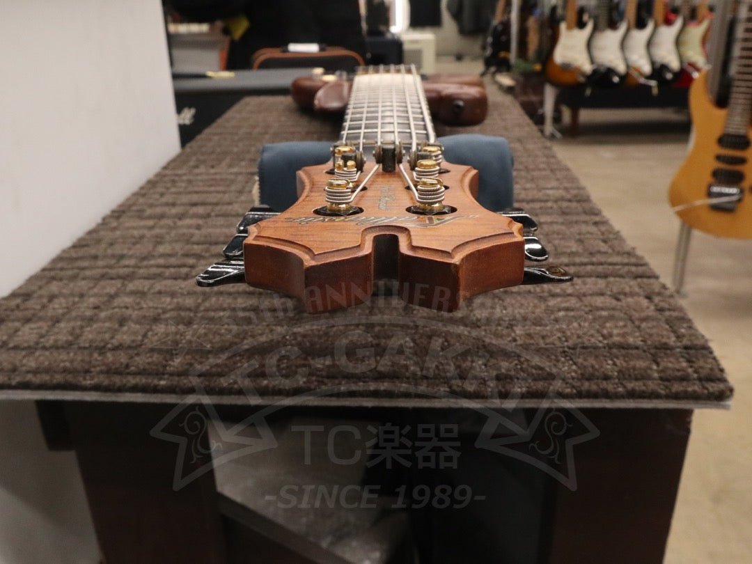 Victoria 6st - TC楽器 - TCGAKKI