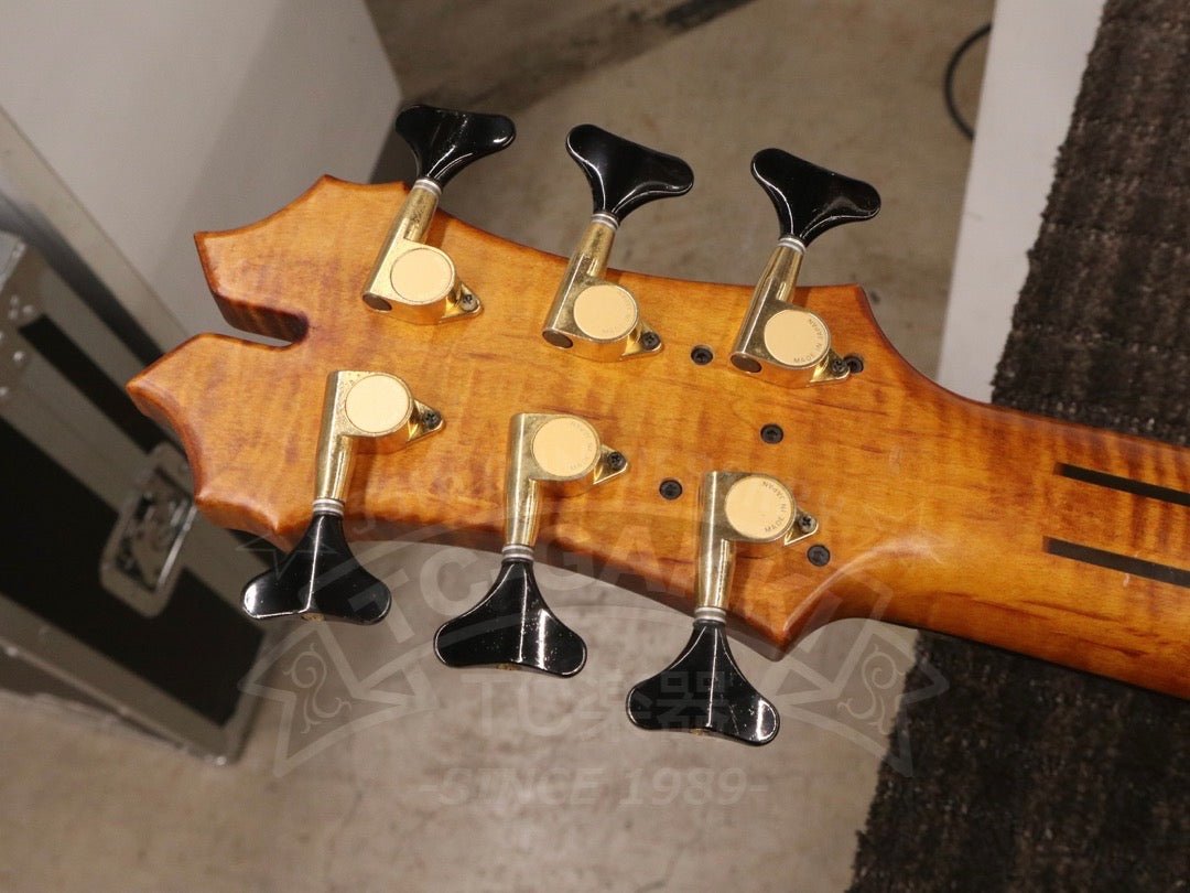 Victoria 6st - TC楽器 - TCGAKKI