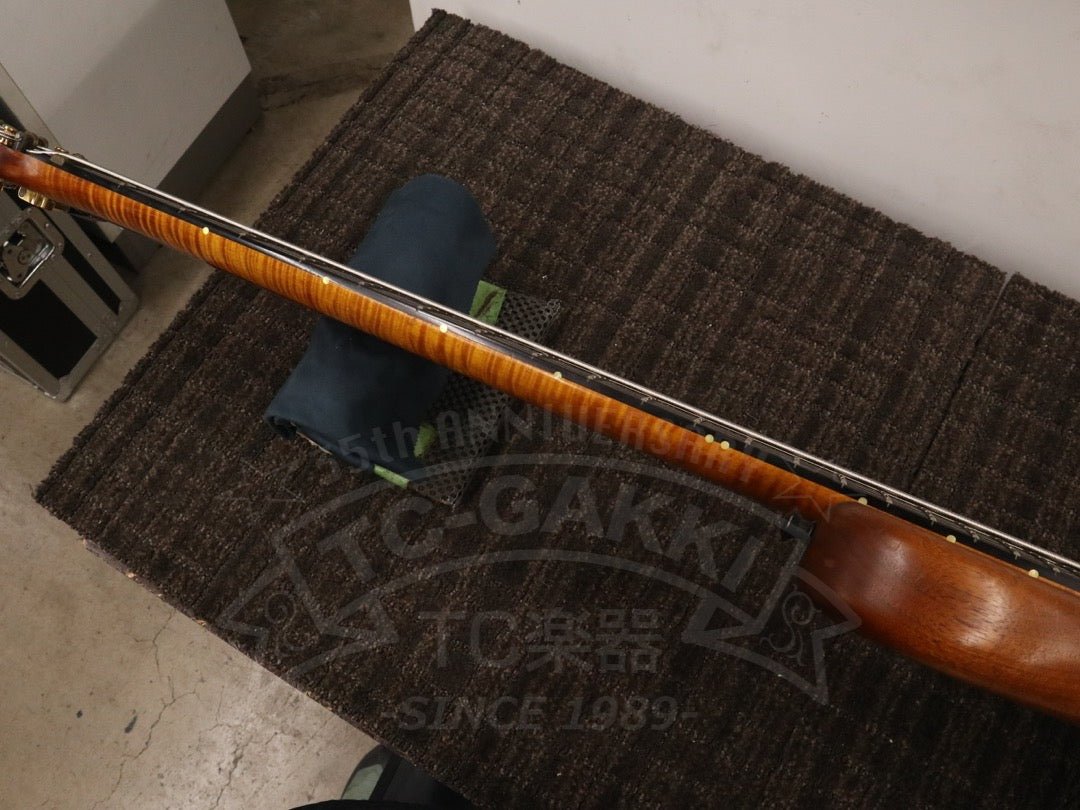 Victoria 6st - TC楽器 - TCGAKKI