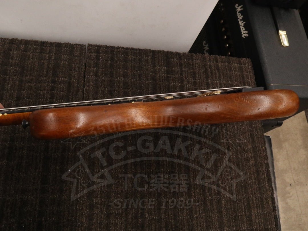 Victoria 6st - TC楽器 - TCGAKKI