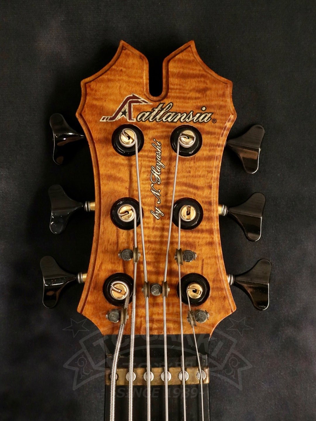 Victoria 6st - TC楽器 - TCGAKKI