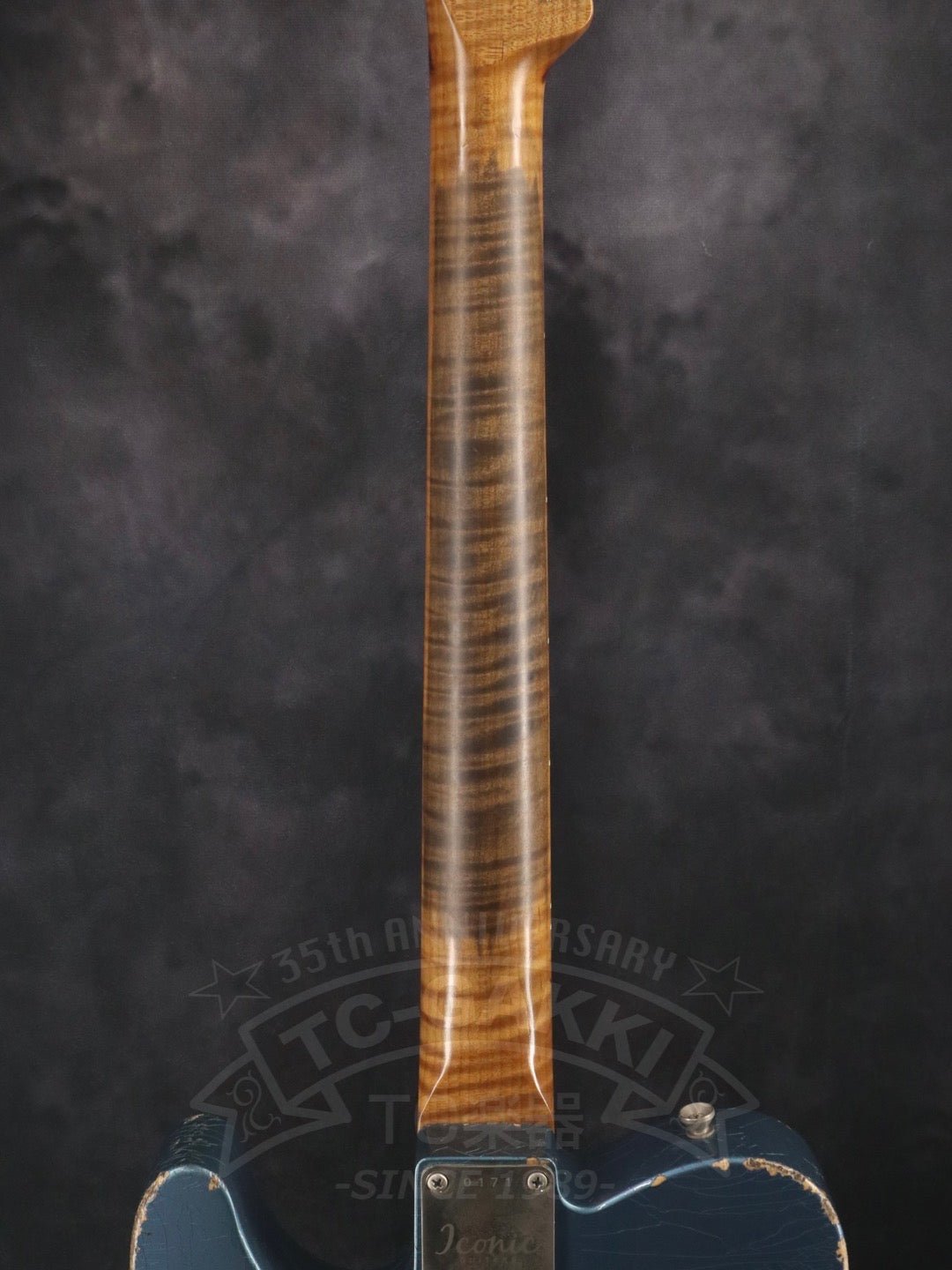 VINTAGE MODERN 62T - TC楽器 - TCGAKKI