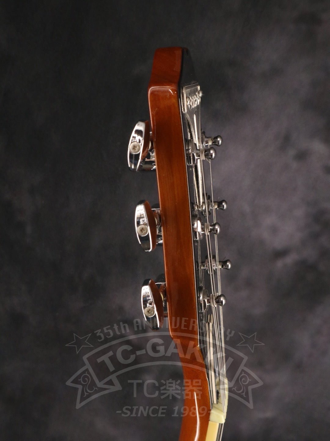 Wildkat - TC楽器 - TCGAKKI