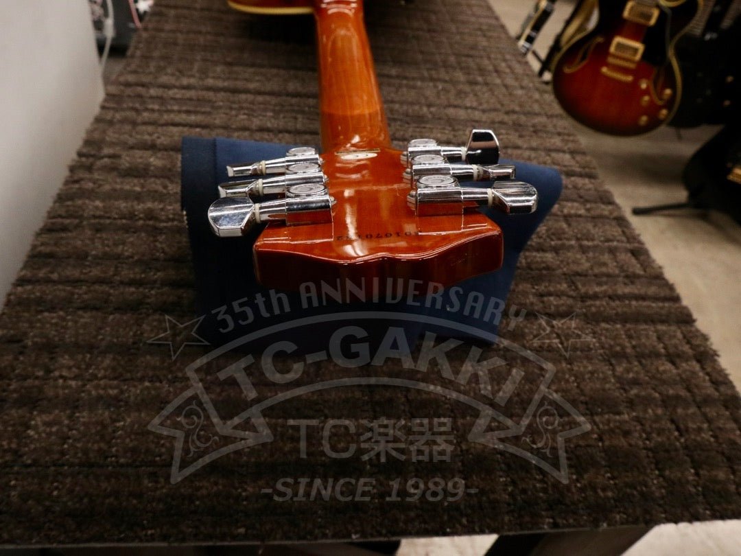 Wildkat - TC楽器 - TCGAKKI