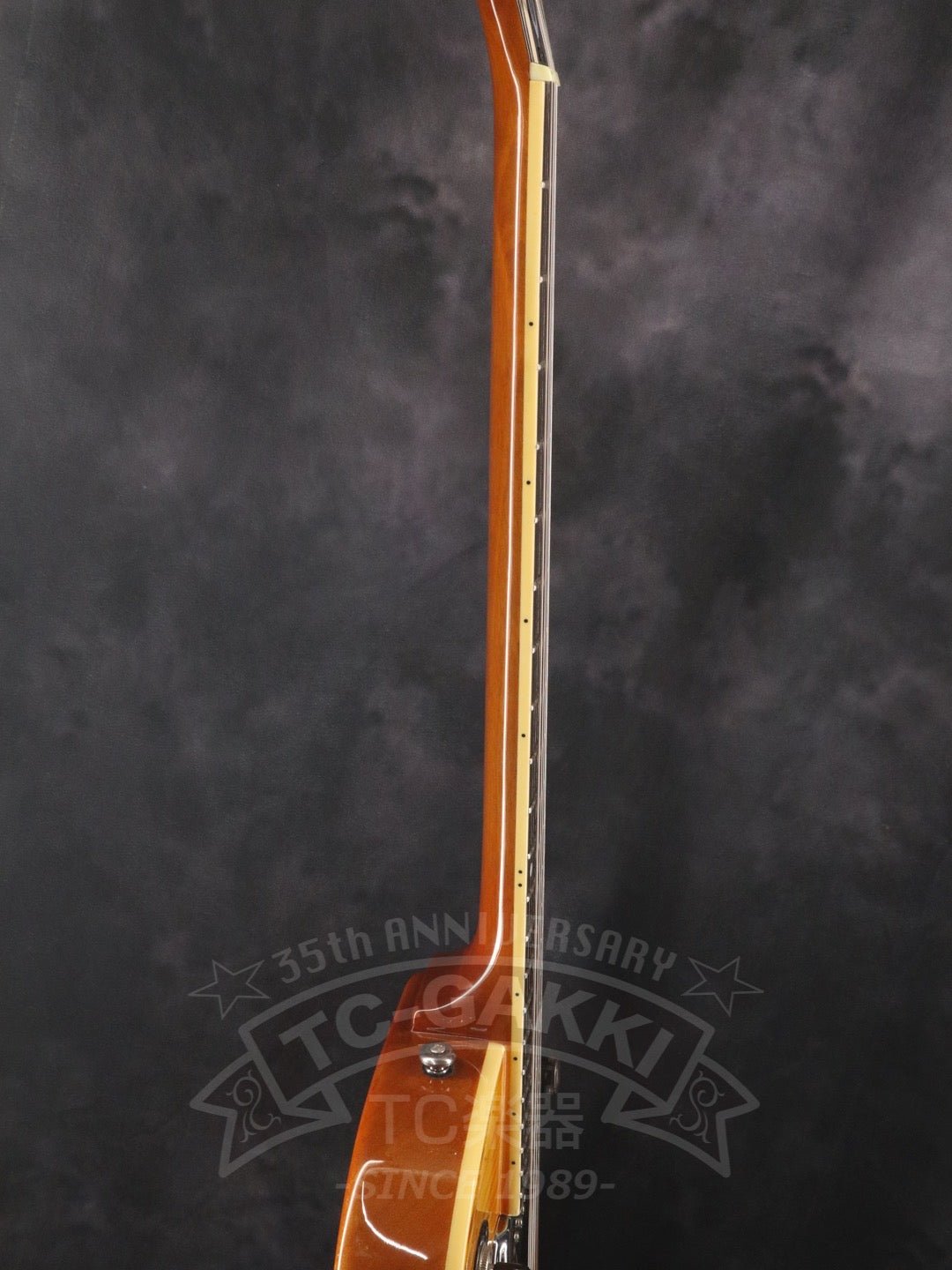 Wildkat - TC楽器 - TCGAKKI