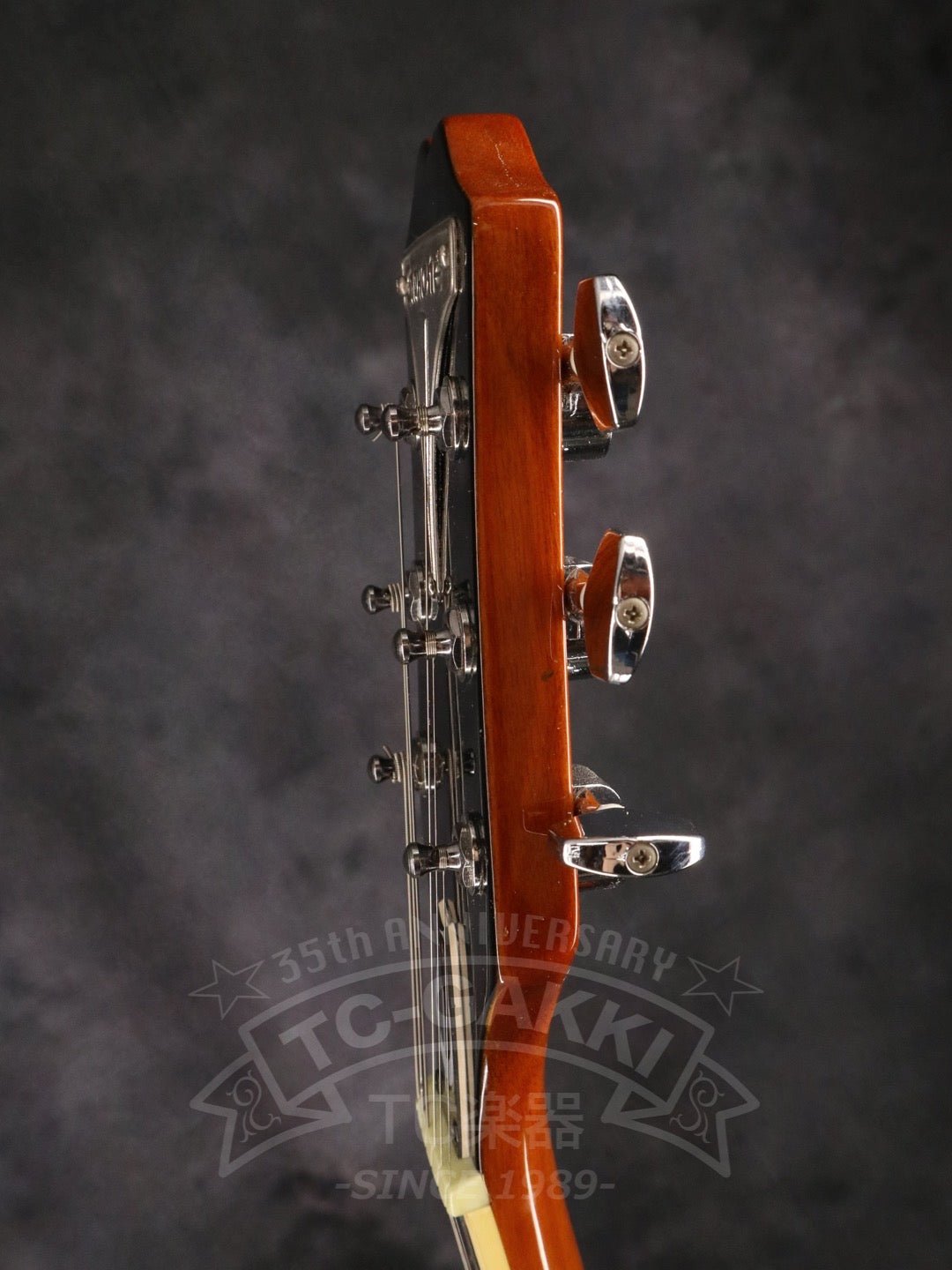 Wildkat - TC楽器 - TCGAKKI