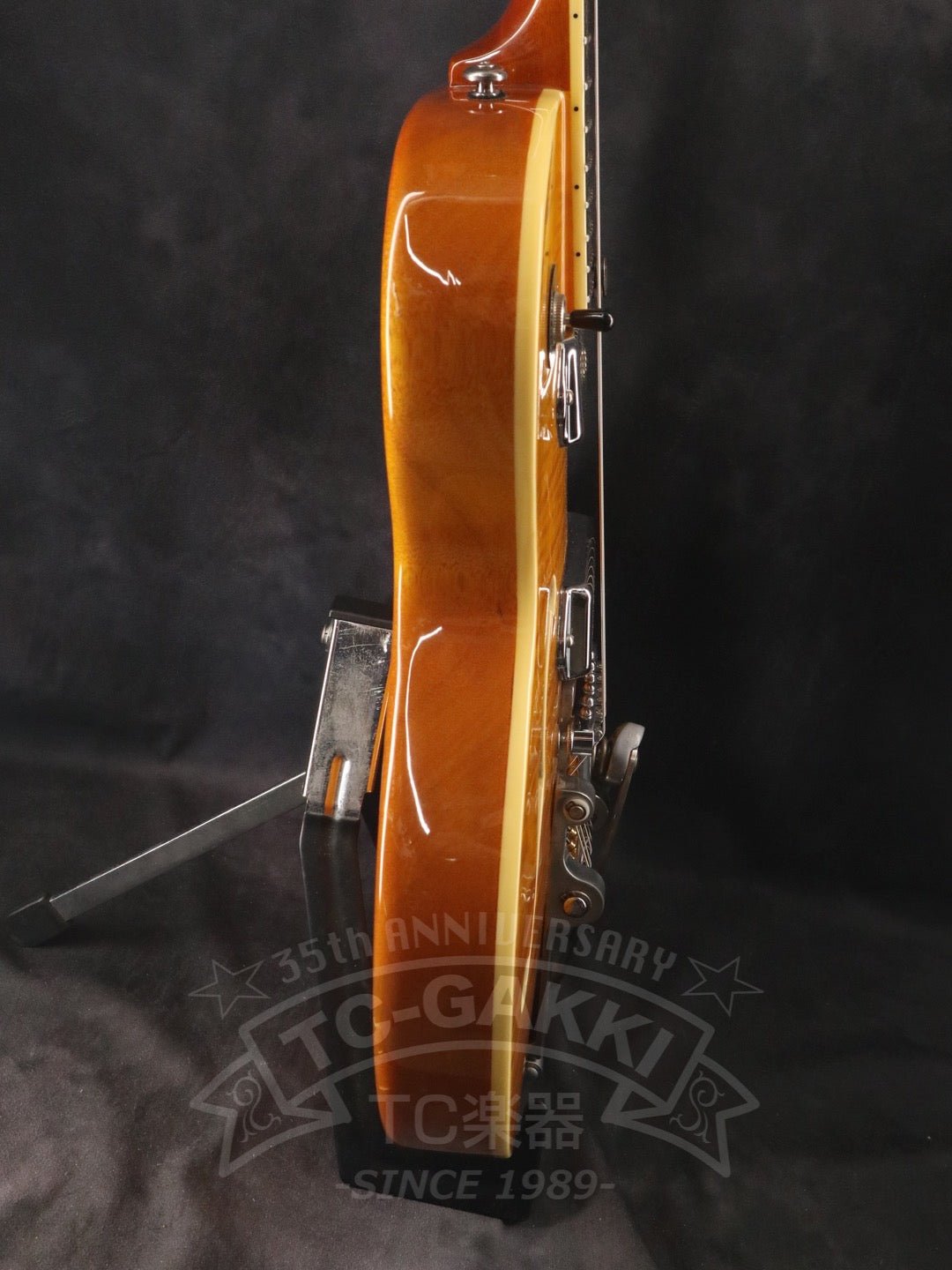 Wildkat - TC楽器 - TCGAKKI