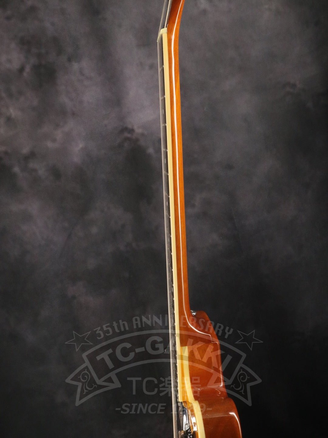 Wildkat - TC楽器 - TCGAKKI