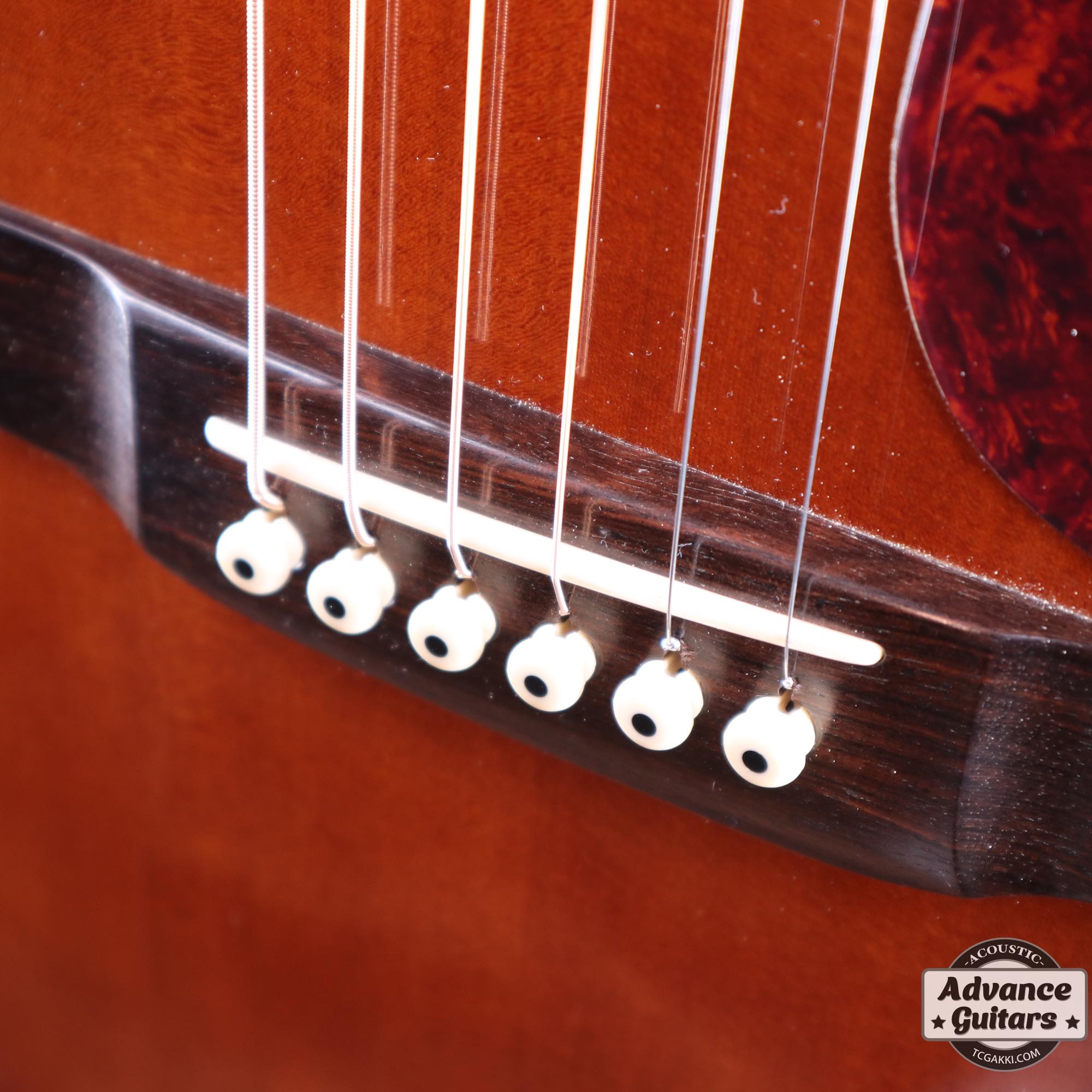 YF - 00042 - TC楽器 - TCGAKKI