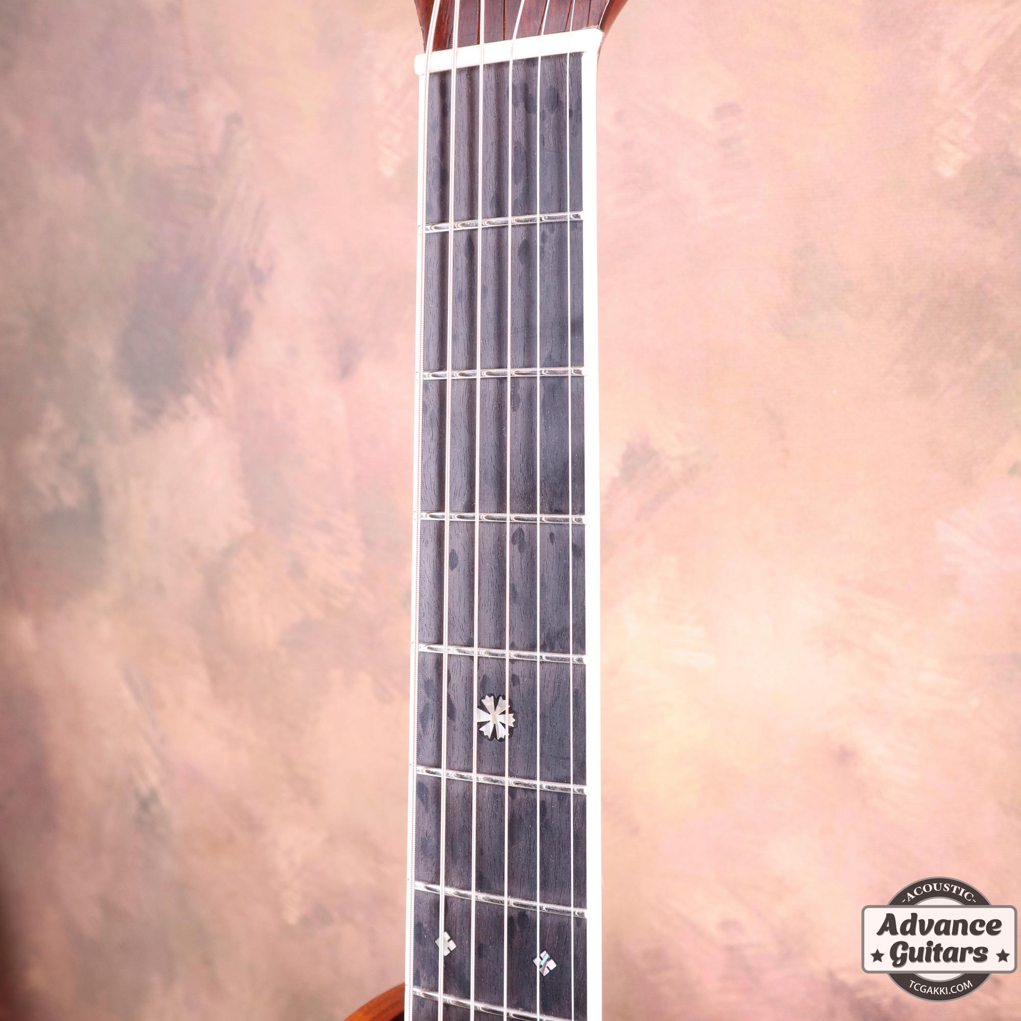 YF - 00042 - TC楽器 - TCGAKKI