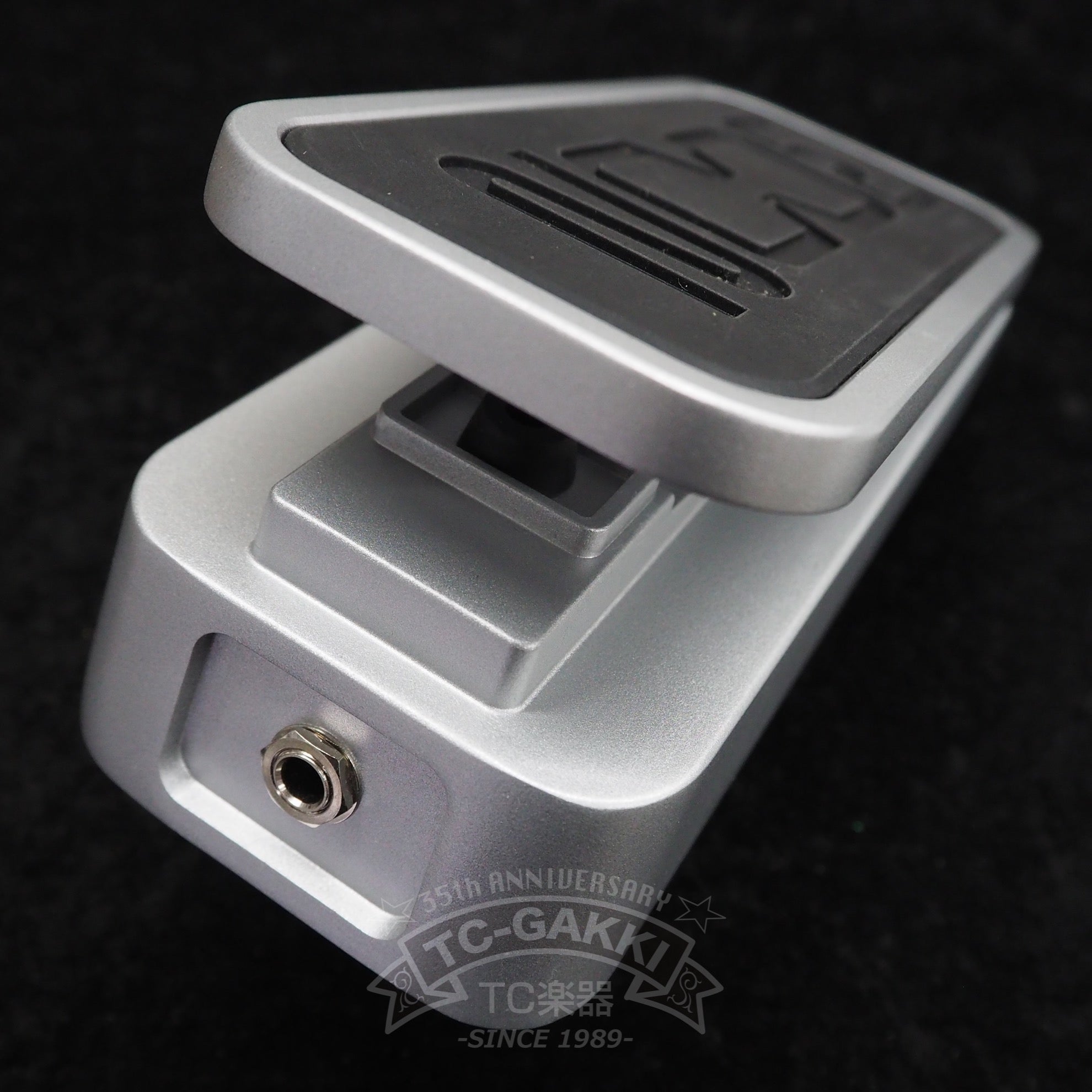 ZOOM FP02M EXPRESSION PEDAL - TC楽器 - TCGAKKI