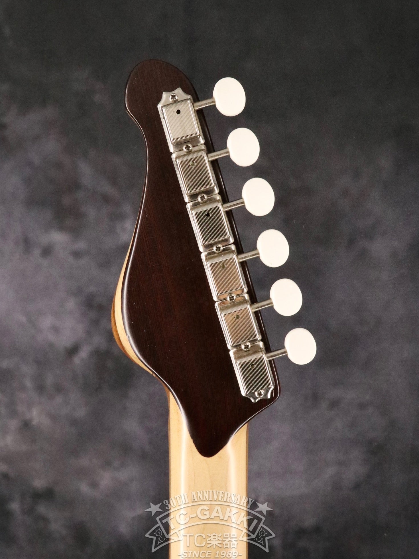 151A-Humanity Type1.0 SDGs Remake - TC楽器 - TCGAKKI