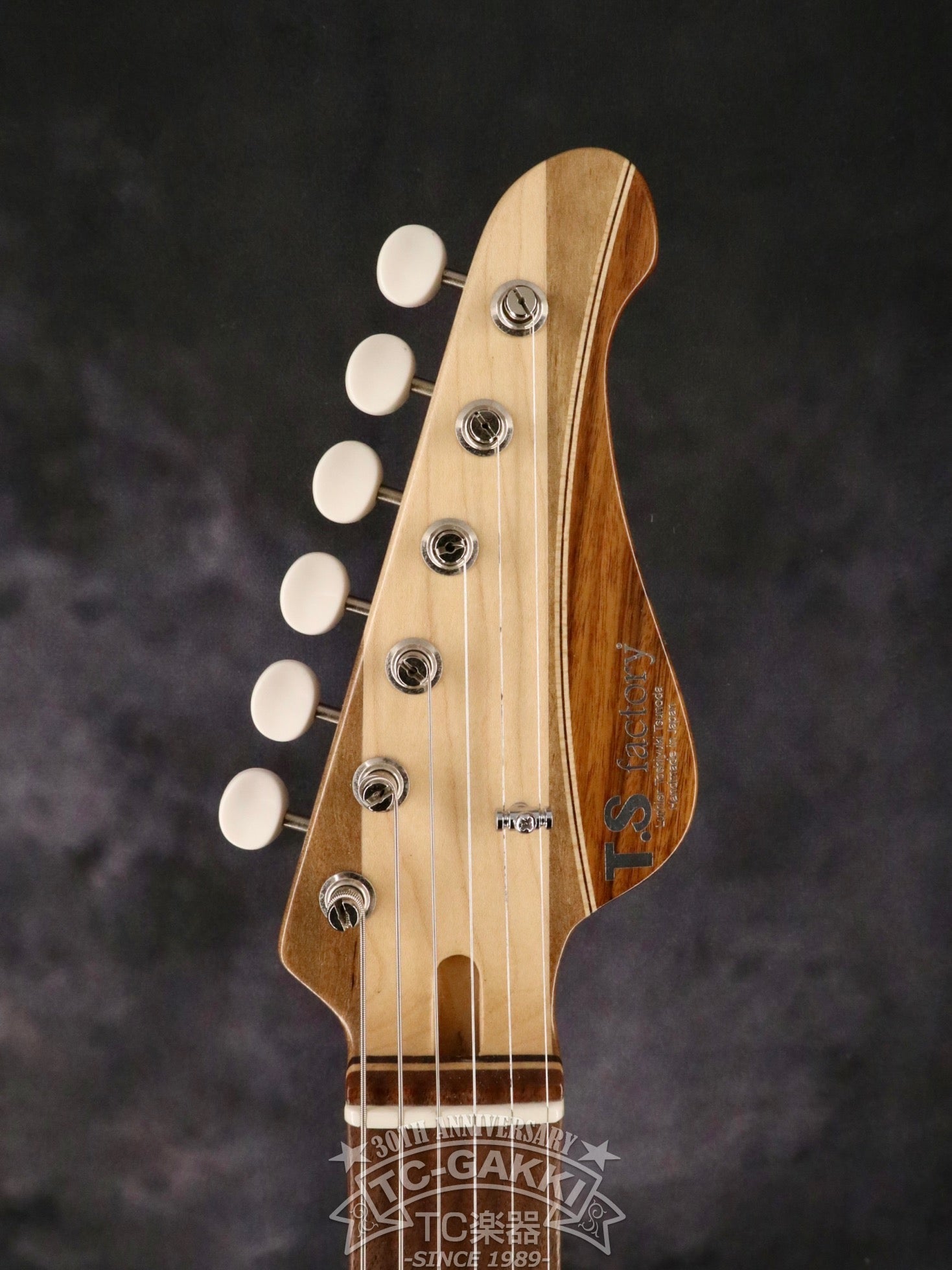 151A-Humanity Type1.0 SDGs Remake - TC楽器 - TCGAKKI