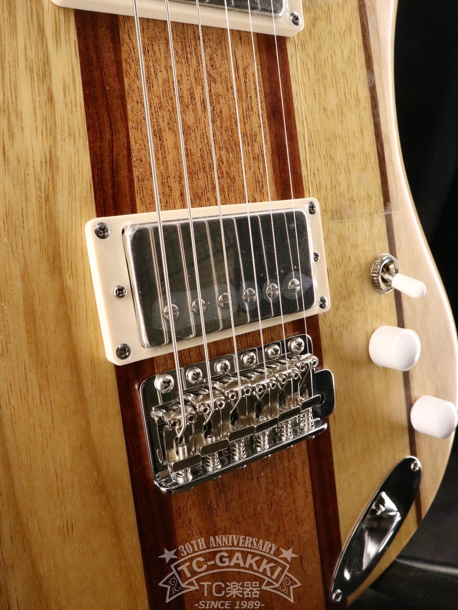 151A-Humanity Type1.5 SDGs 2024 - TC楽器 - TCGAKKI