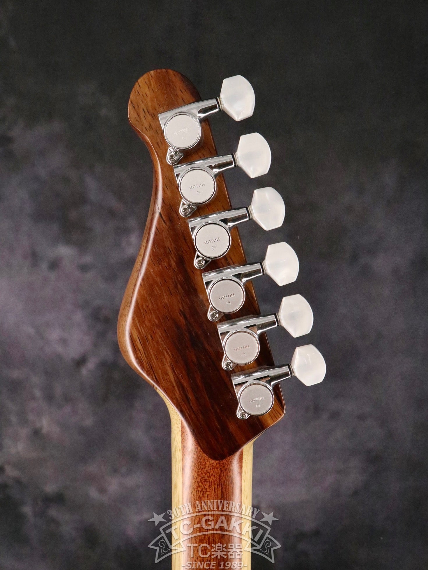 151A-Humanity Type1.5 SDGs 2024 - TC楽器 - TCGAKKI