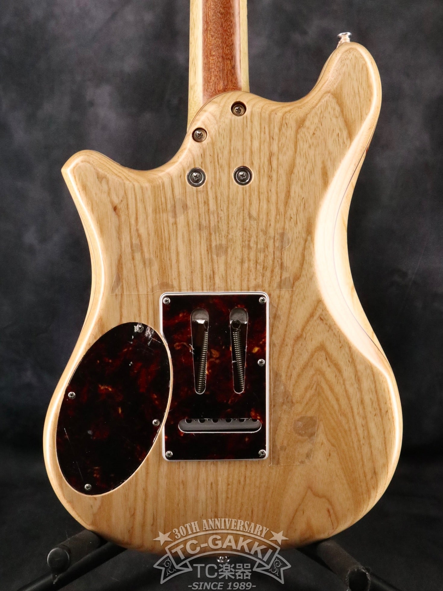 151A-Humanity Type1.5 SDGs 2024 - TC楽器 - TCGAKKI