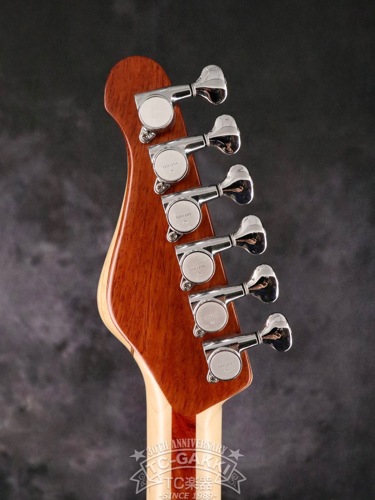 151A-TSSP SDGs - TC楽器 - TCGAKKI