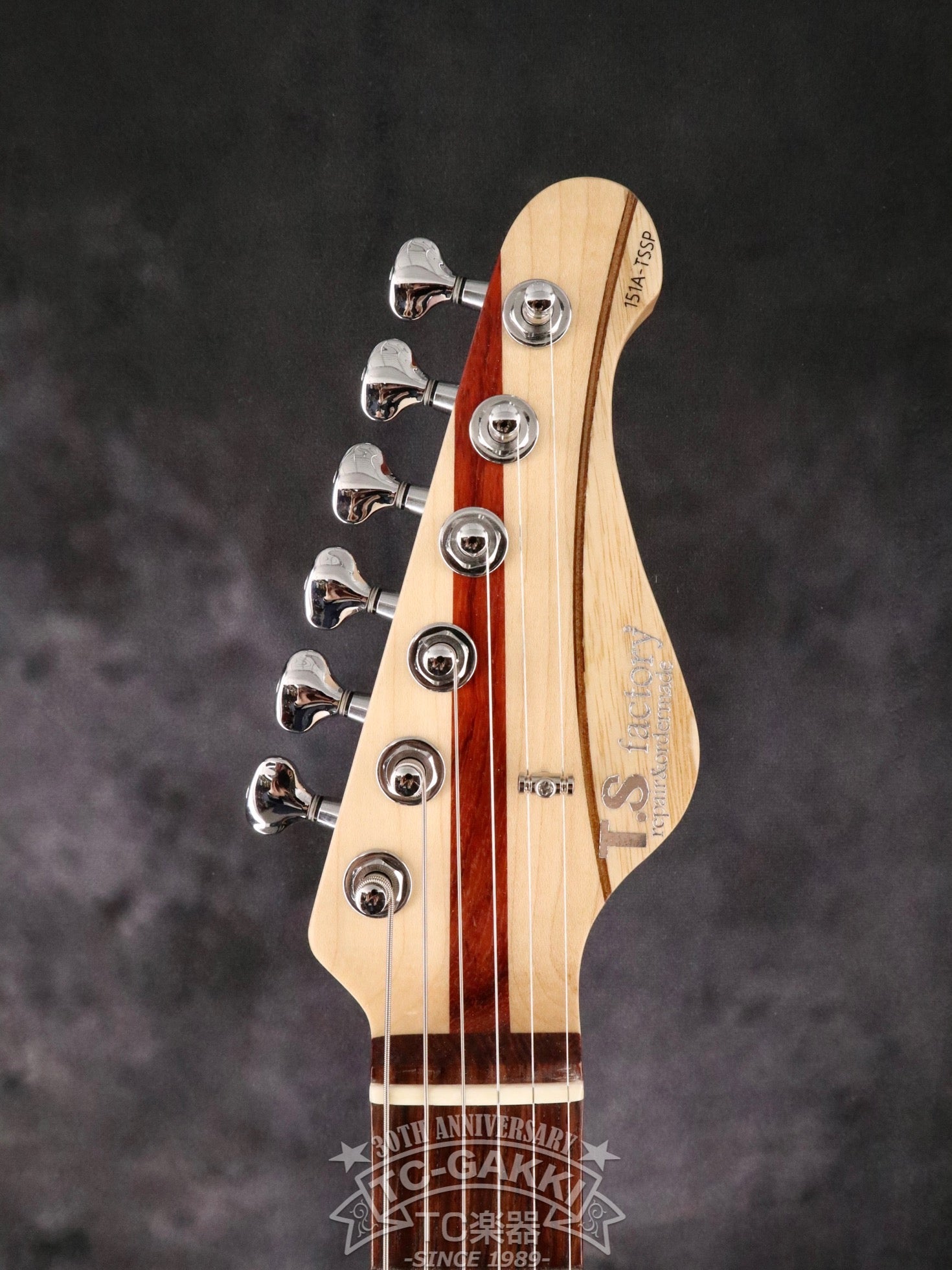 151A-TSSP SDGs - TC楽器 - TCGAKKI