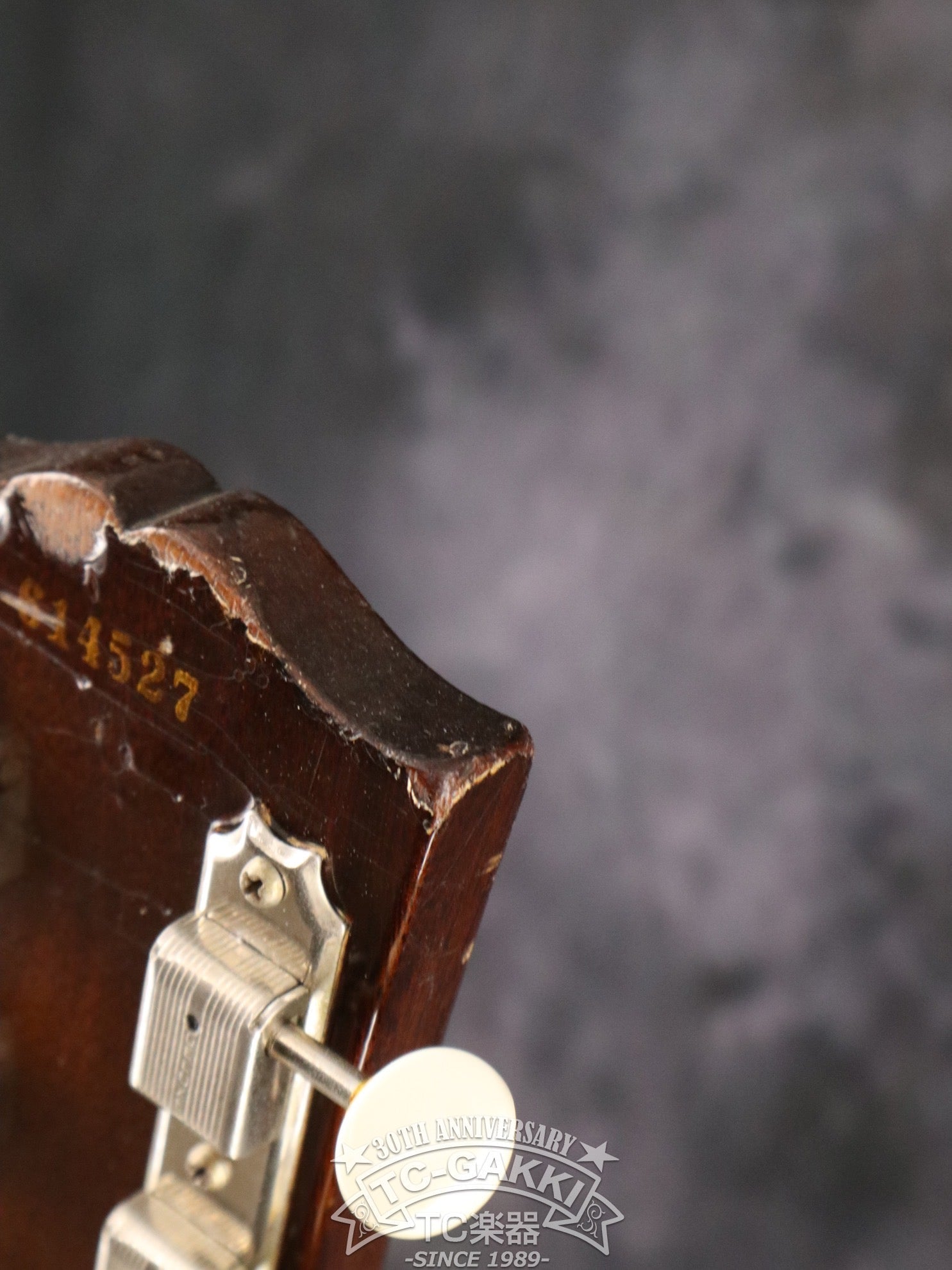 1956 Les Paul Junior - TC楽器 - TCGAKKI