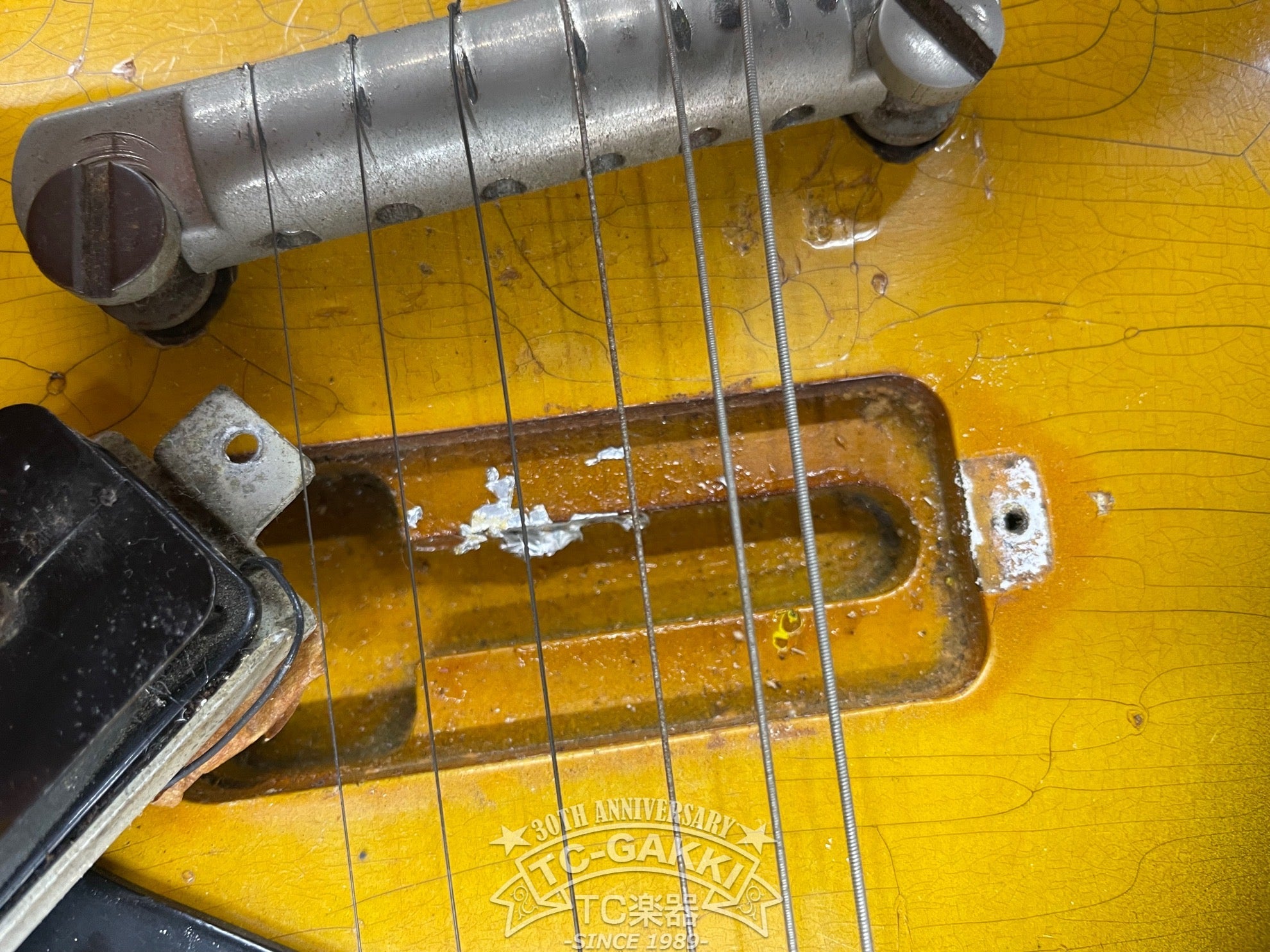 1956 Les Paul Junior - TC楽器 - TCGAKKI